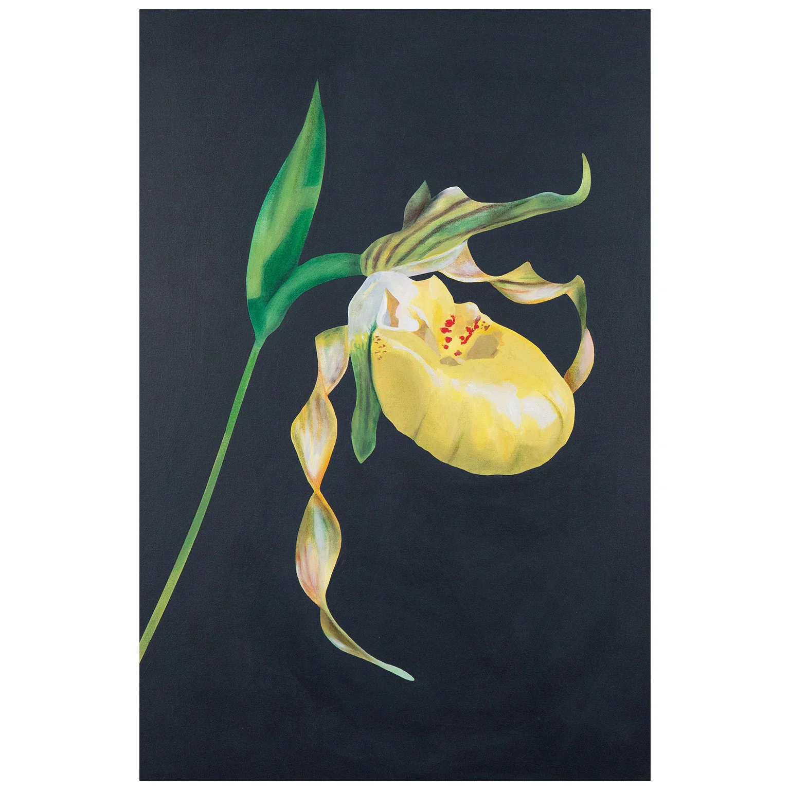 CHARLES PACHTER "LADY'S SLIPPER" ACRYLIC ON CANVAS, 2021 - Image 3