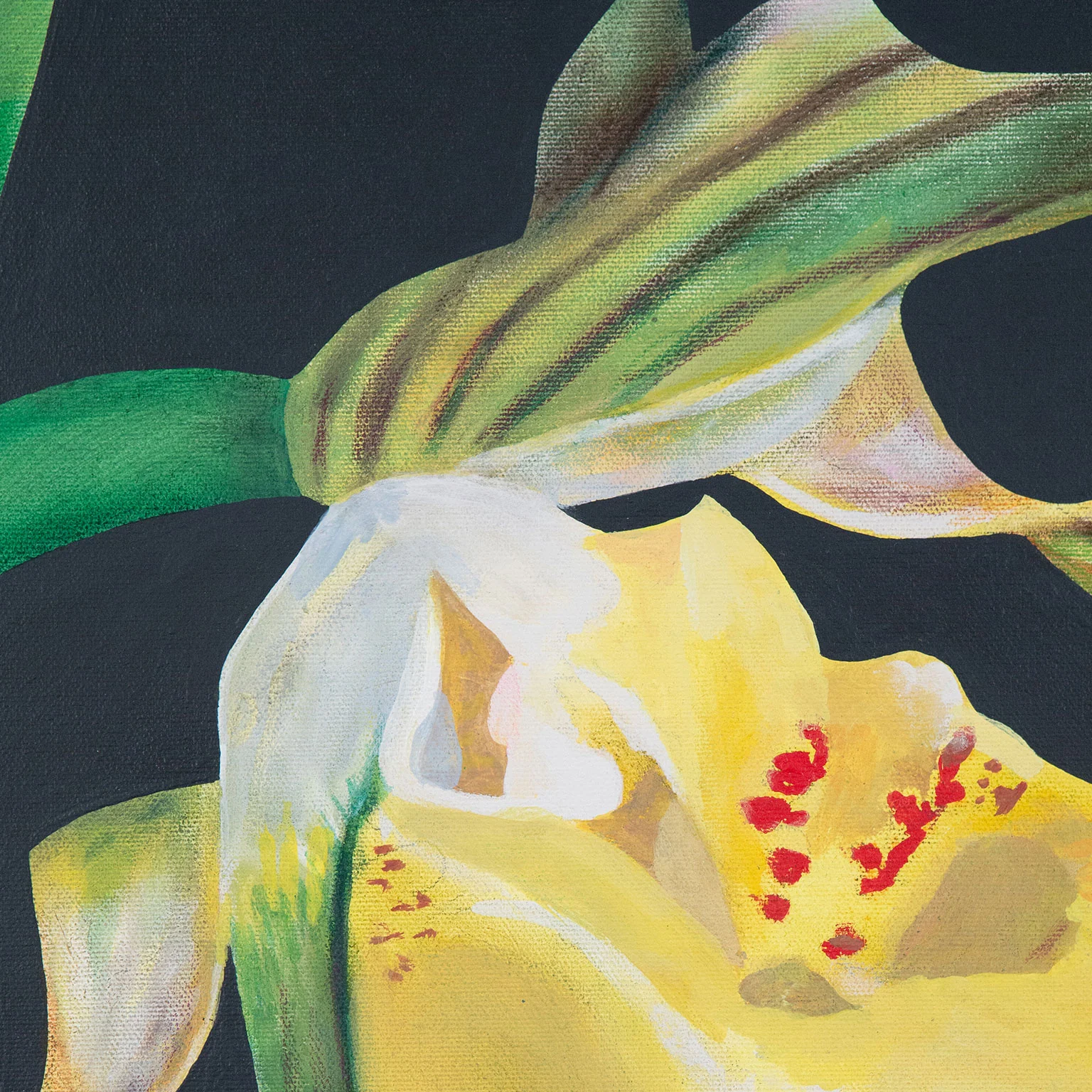 CHARLES PACHTER "LADY'S SLIPPER" ACRYLIC ON CANVAS, 2021 - Image 6