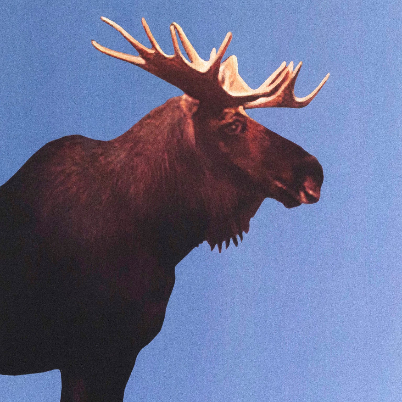 CHARLES PACHTER "MOOSE LAKE: PAS DE DEUX" - Image 3
