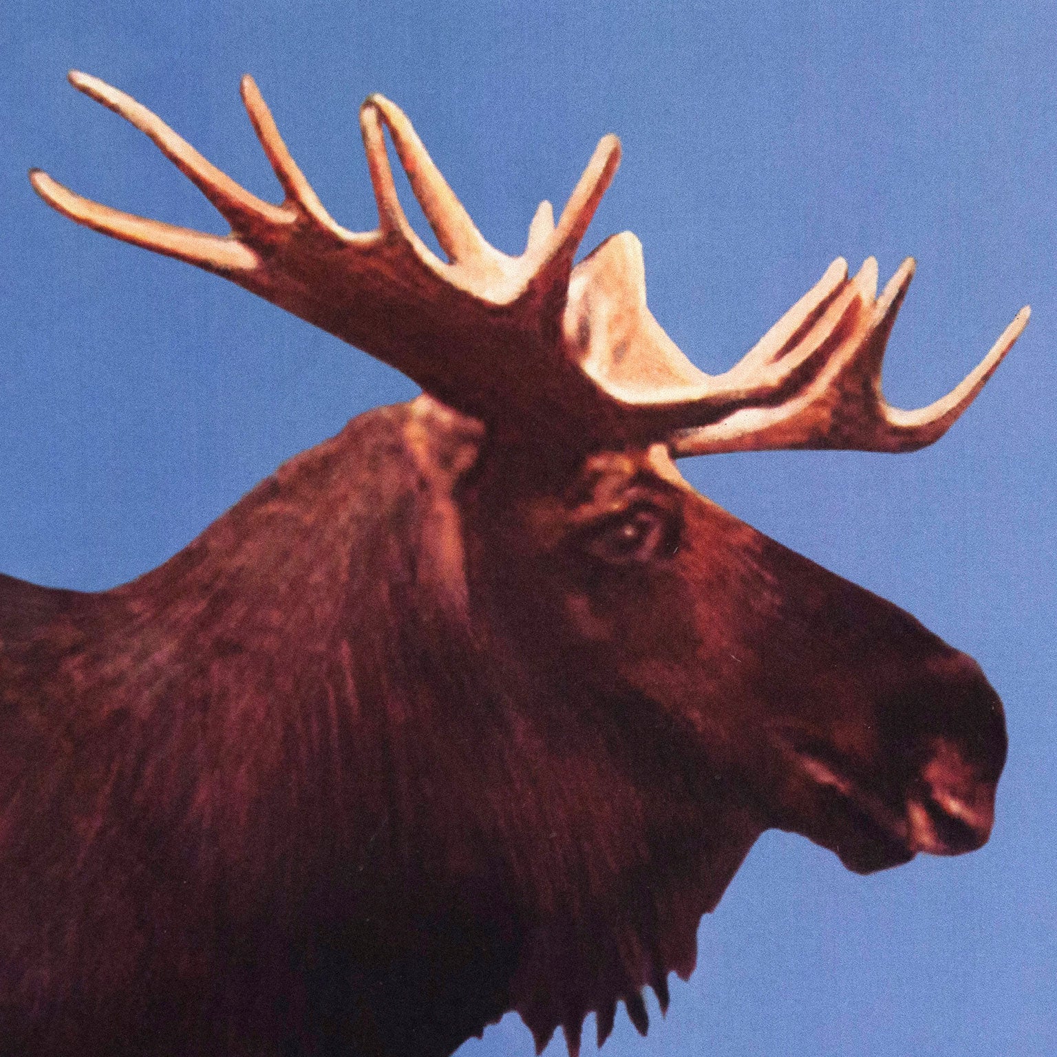 CHARLES PACHTER "MOOSE LAKE: PAS DE DEUX" - Image 7