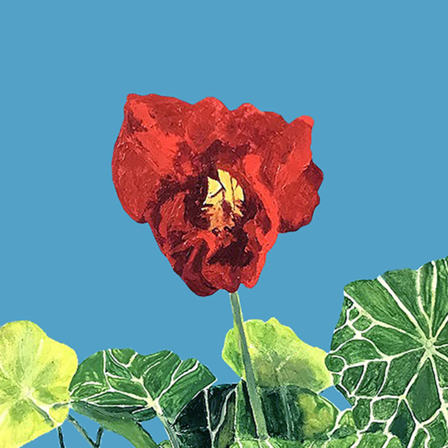 CHARLES PACHTER "NASTURTIUM" ACRYLIC ON CANVAS, 2020 - Image 3