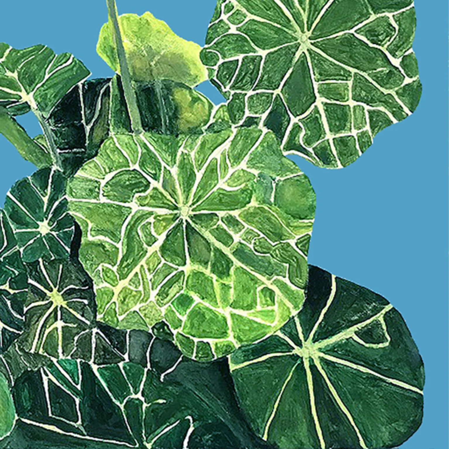 CHARLES PACHTER "NASTURTIUM" ACRYLIC ON CANVAS, 2020 - Image 4