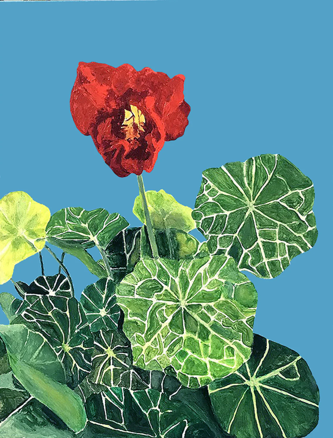 CHARLES PACHTER "NASTURTIUM" ACRYLIC ON CANVAS, 2020 - Image 6
