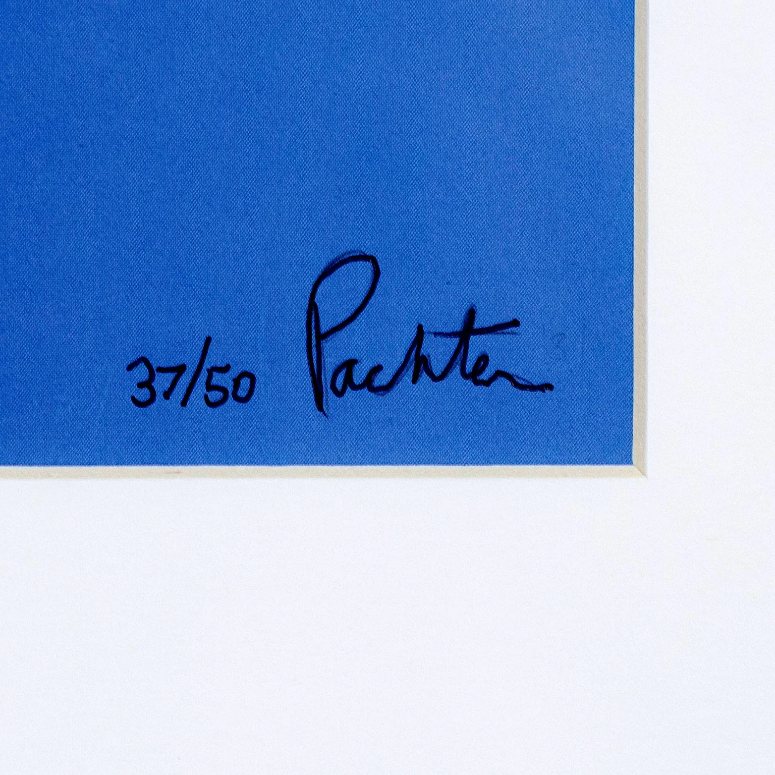 CHARLES PACHTER "PAINTED FLAG: HORIZONTAL BLUE" 1981 - Image 4