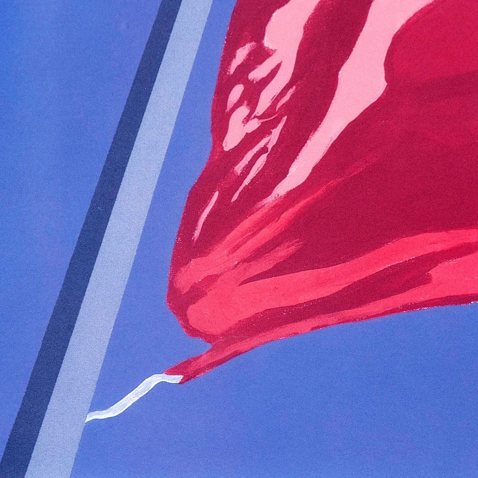 CHARLES PACHTER "PAINTED FLAG: HORIZONTAL BLUE" 1981 - Image 8