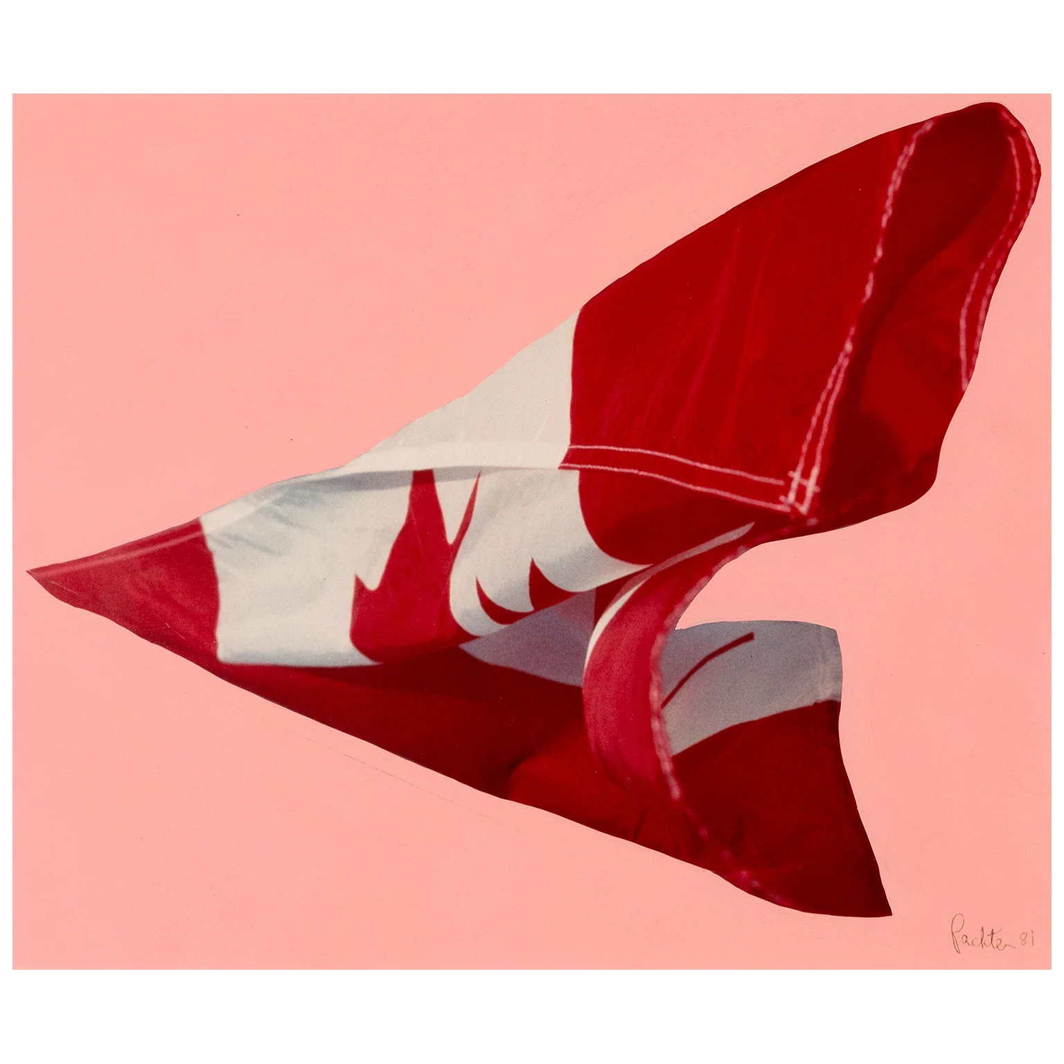 CHARLES PACHTER "PINK PREPARATORY FLAG", 1981 - Image 3