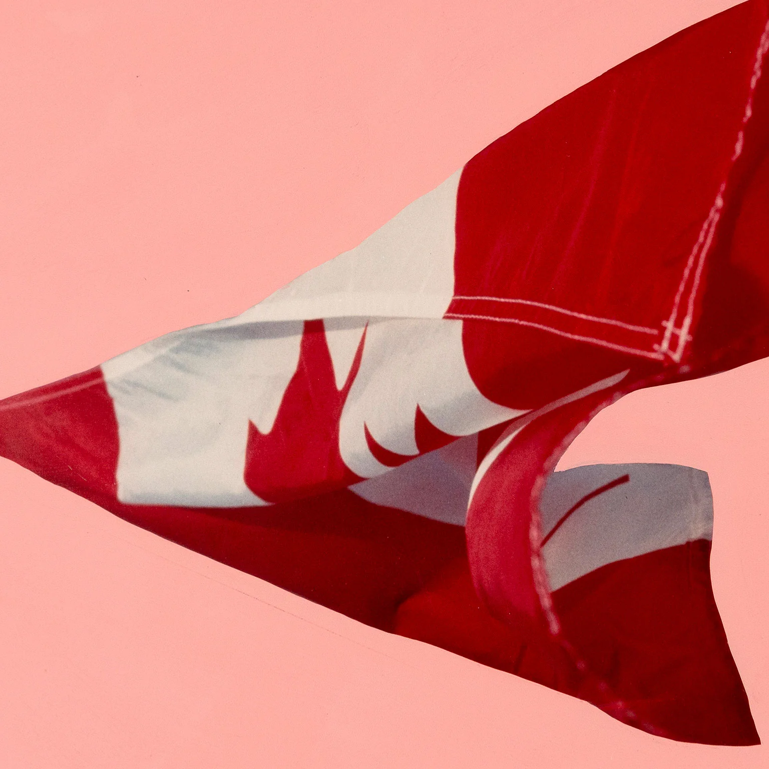 CHARLES PACHTER "PINK PREPARATORY FLAG", 1981 - Image 4