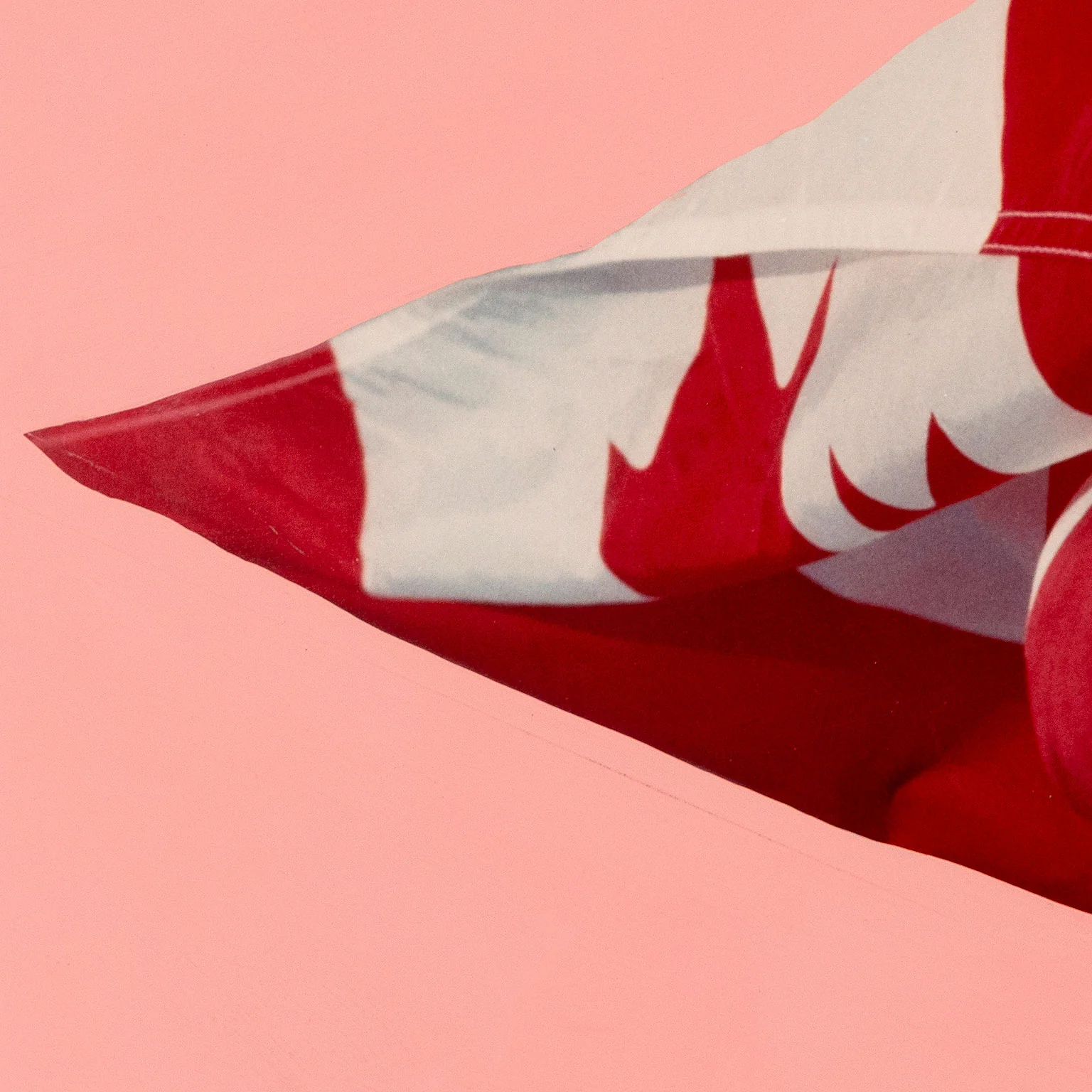 CHARLES PACHTER "PINK PREPARATORY FLAG", 1981 - Image 5