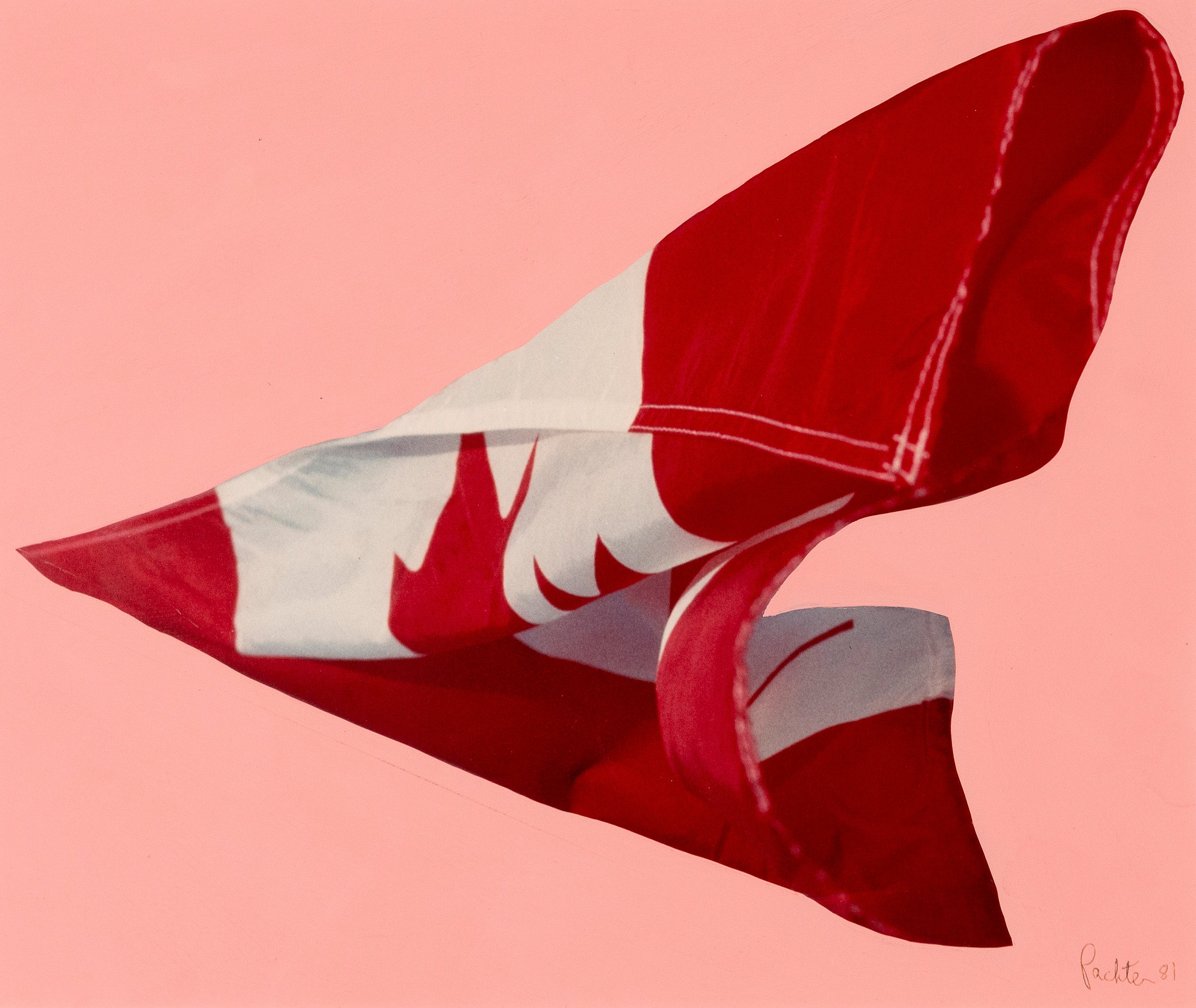 CHARLES PACHTER "PINK PREPARATORY FLAG", 1981 - Image 8