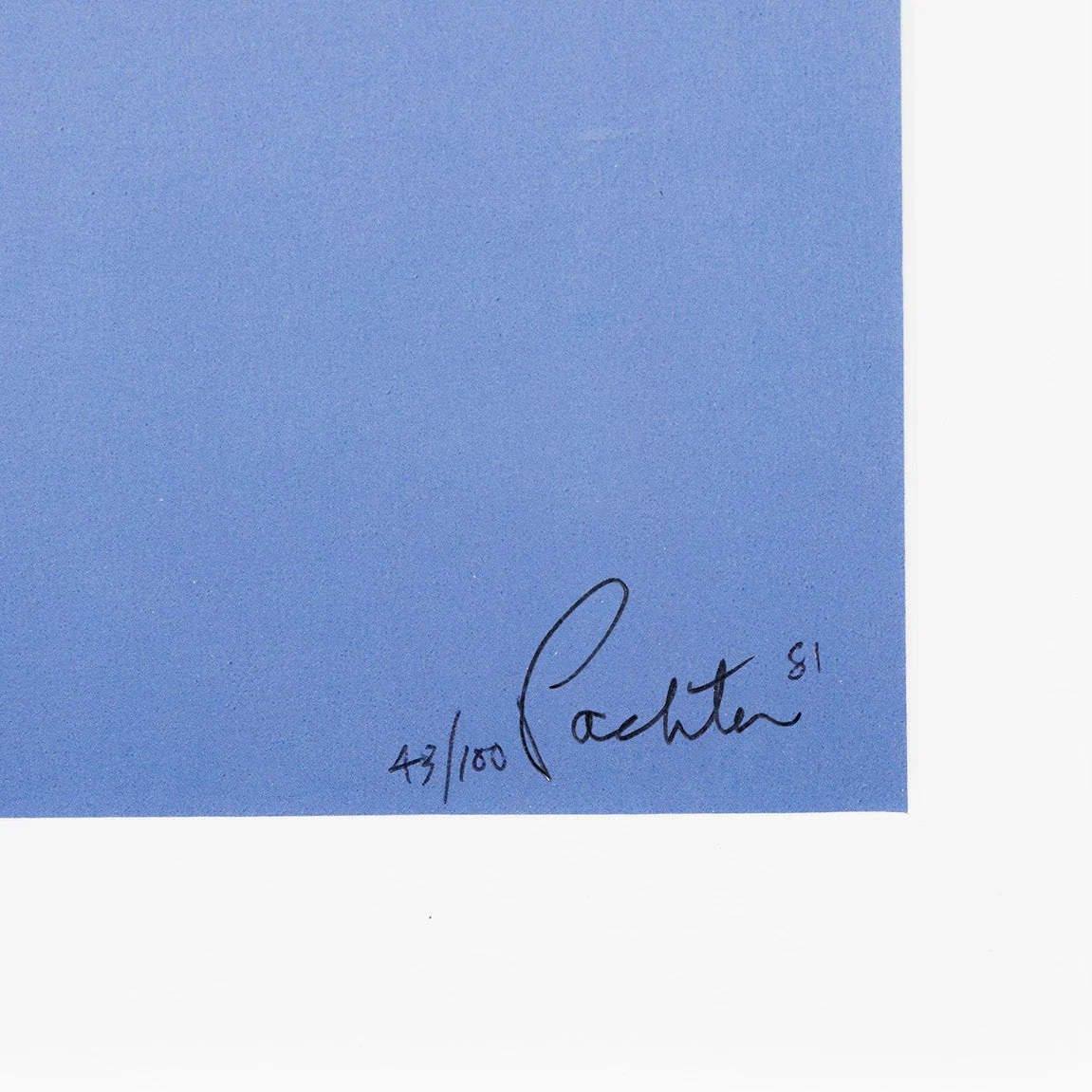 CHARLES PACHTER "PAINTED FLAG: VERTICAL BLUE" 1981 - Image 4