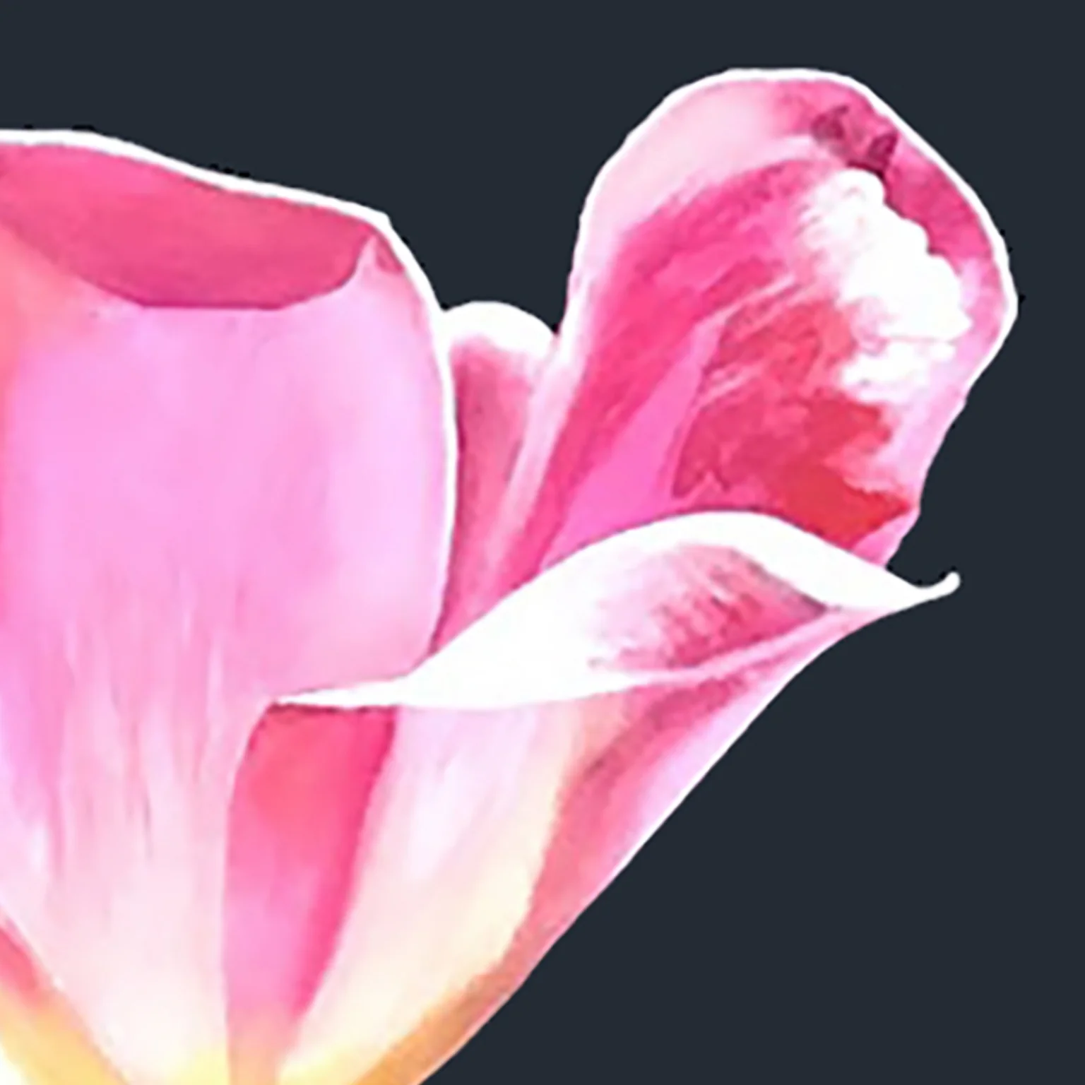 CHARLES PACHTER "PINK TULIP" ACRYLIC ON CANVAS, 2021 - Image 5