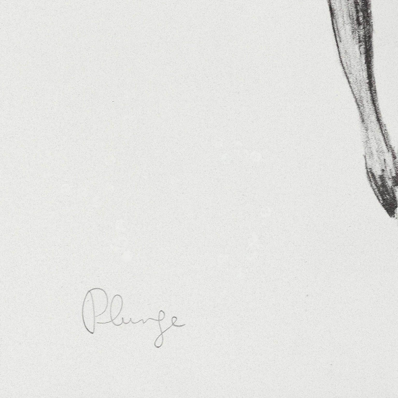 CHARLES PACHTER "PLUNGE", 1970 - Image 3