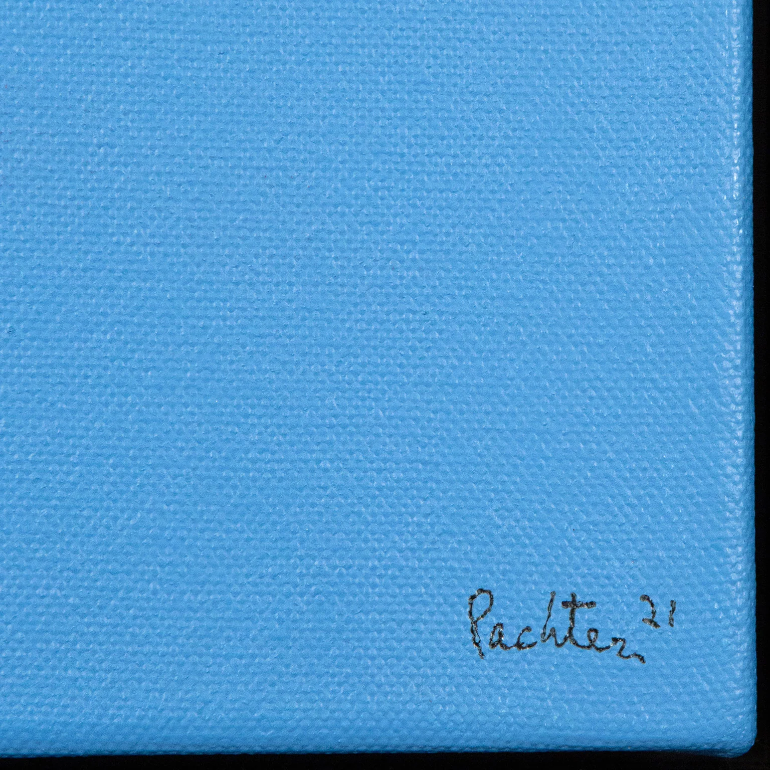 CHARLES PACHTER "POPPY" ACRYLIC ON CANVAS, 2021 - Image 4
