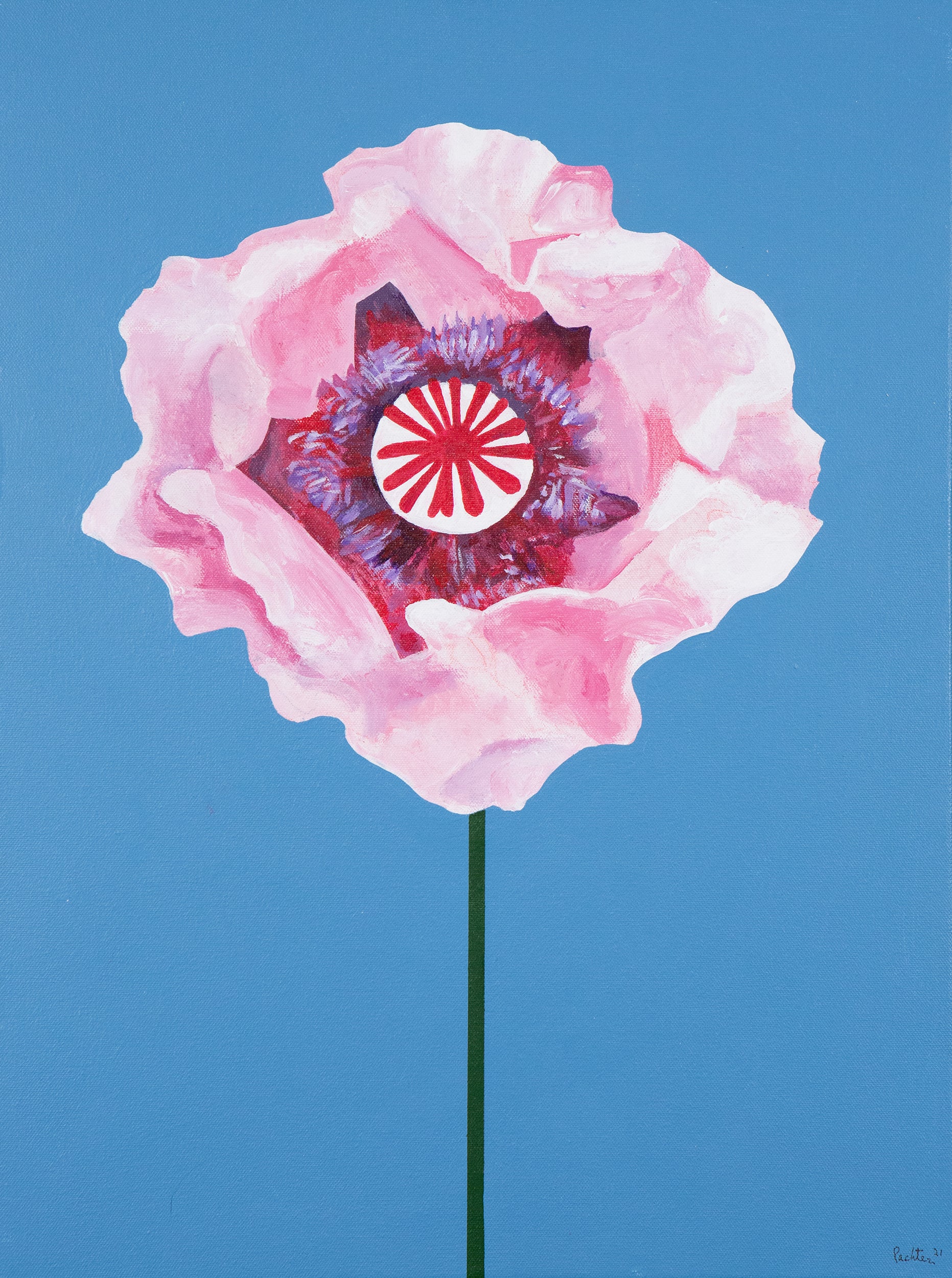 CHARLES PACHTER "POPPY" ACRYLIC ON CANVAS, 2021 - Image 9