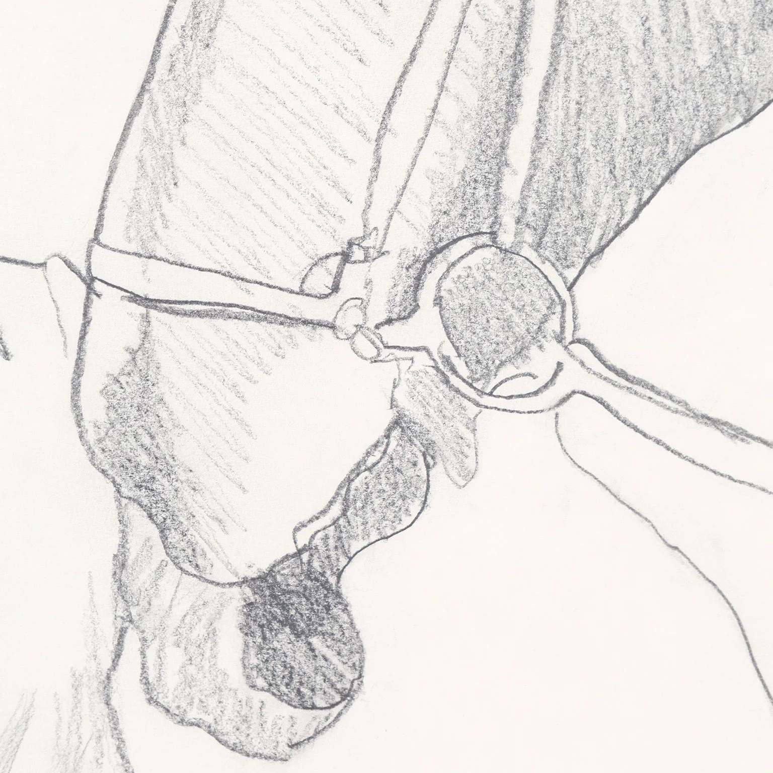 CHARLES PACHTER "QUEEN WITH HORSE" DRAWING, 1976 - Image 7