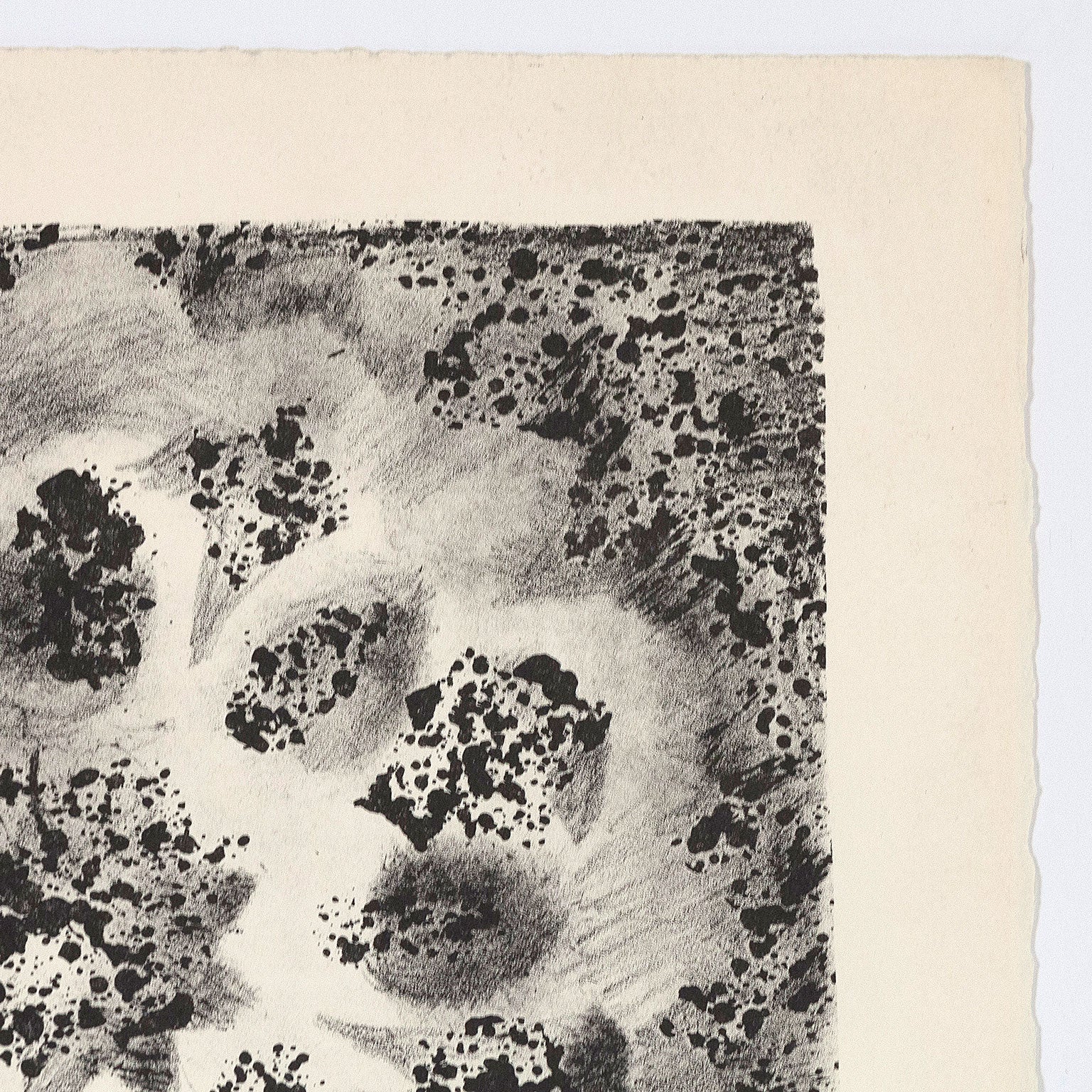 CHARLES PACHTER "ROSE WINDOW" LITHO, 1964 - Image 6