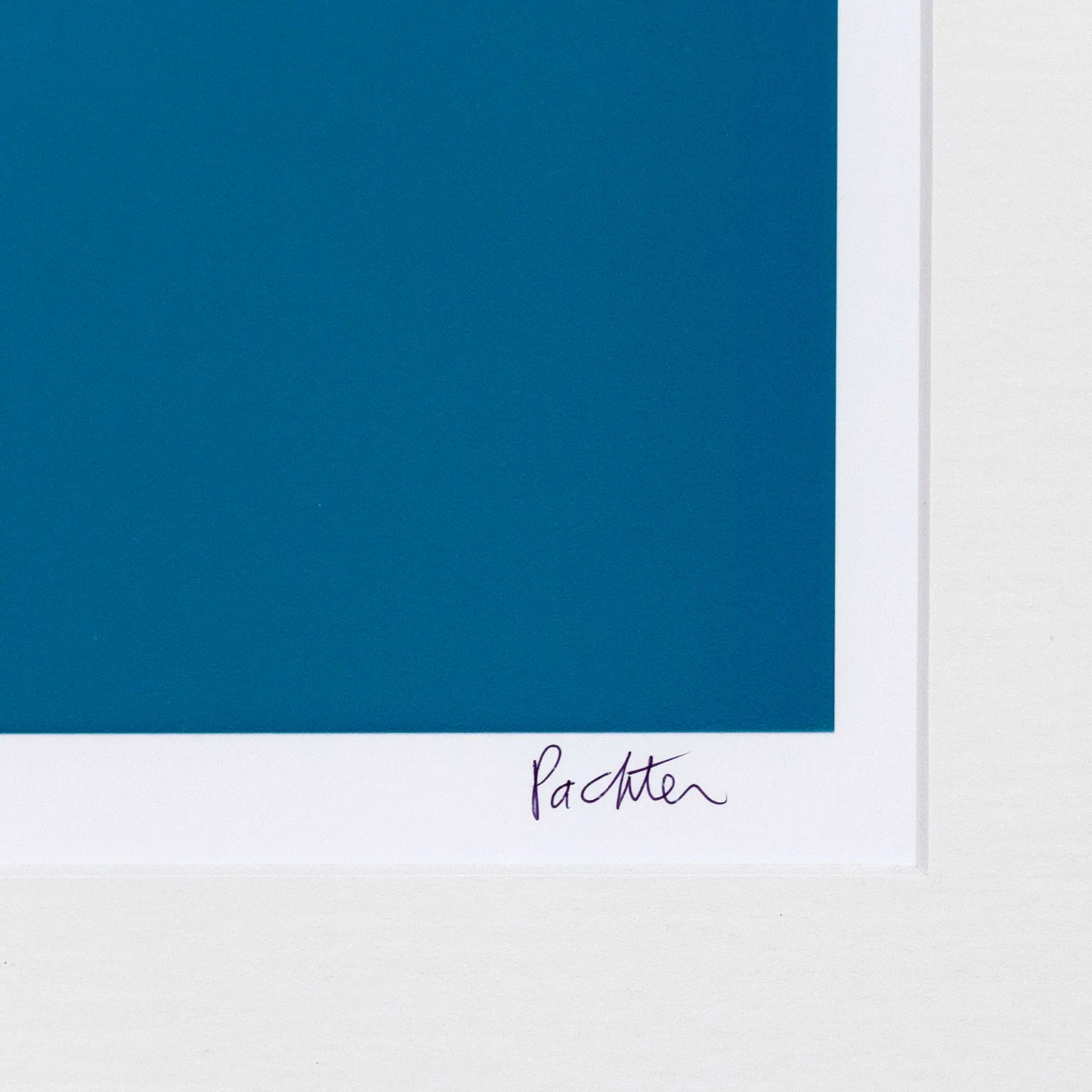CHARLES PACHTER "SIDE BY SIDE" LITHOGRAPH, 2001 - Image 3