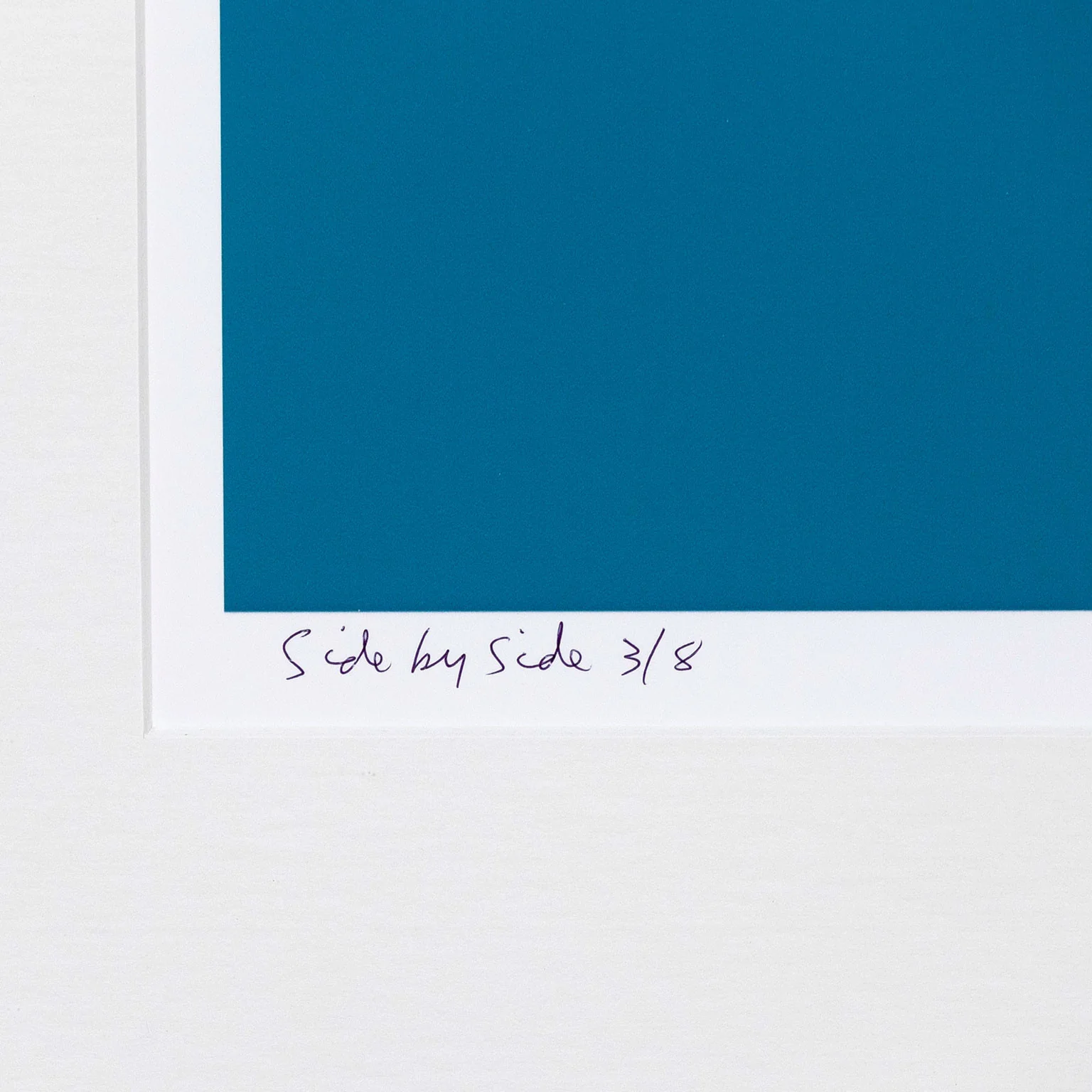 CHARLES PACHTER "SIDE BY SIDE" LITHOGRAPH, 2001 - Image 7