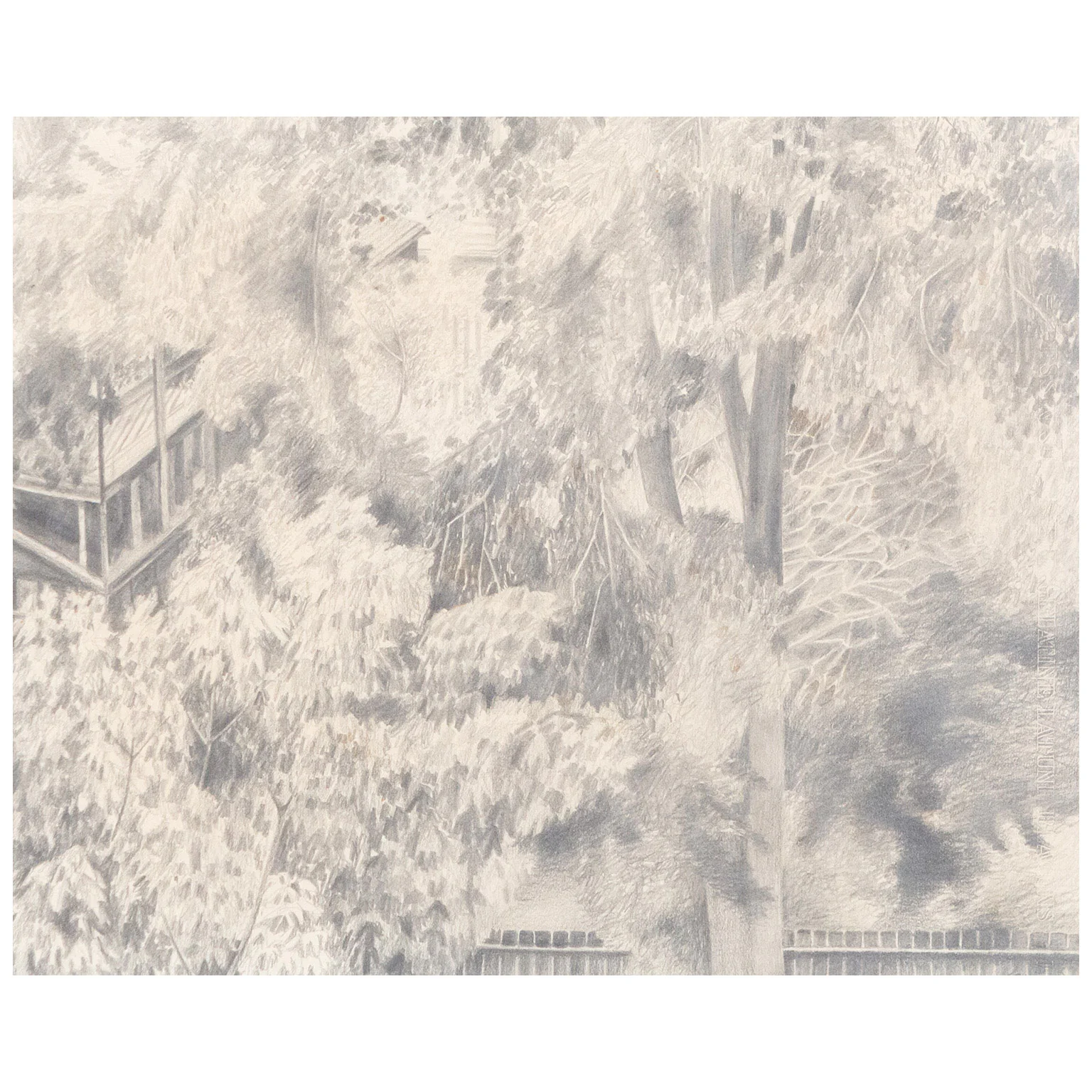 CHRISTIANE PFLUG "FROM CAROL'S WINDOW" 1962 - Image 11