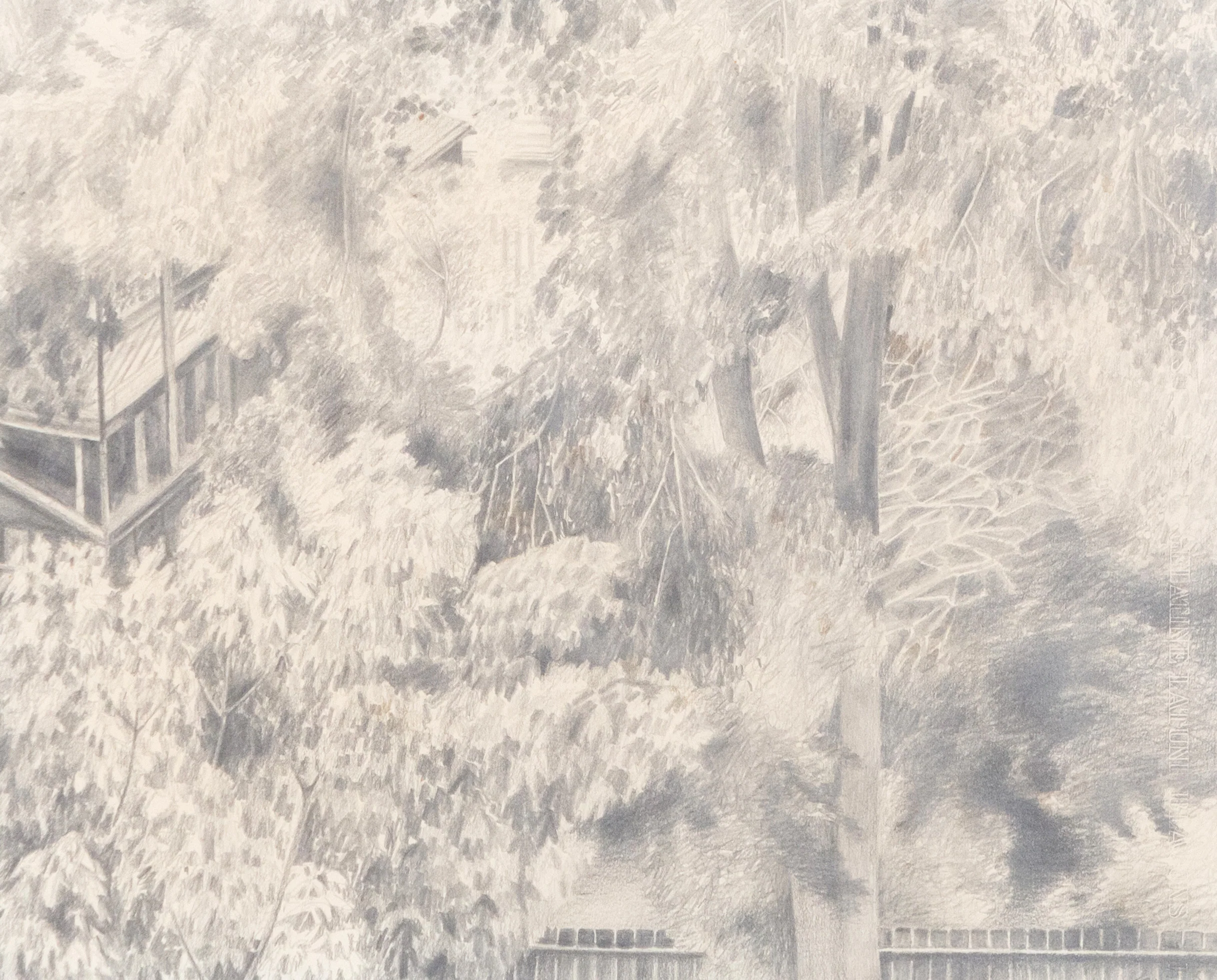 CHRISTIANE PFLUG "FROM CAROL'S WINDOW" 1962 - Image 3