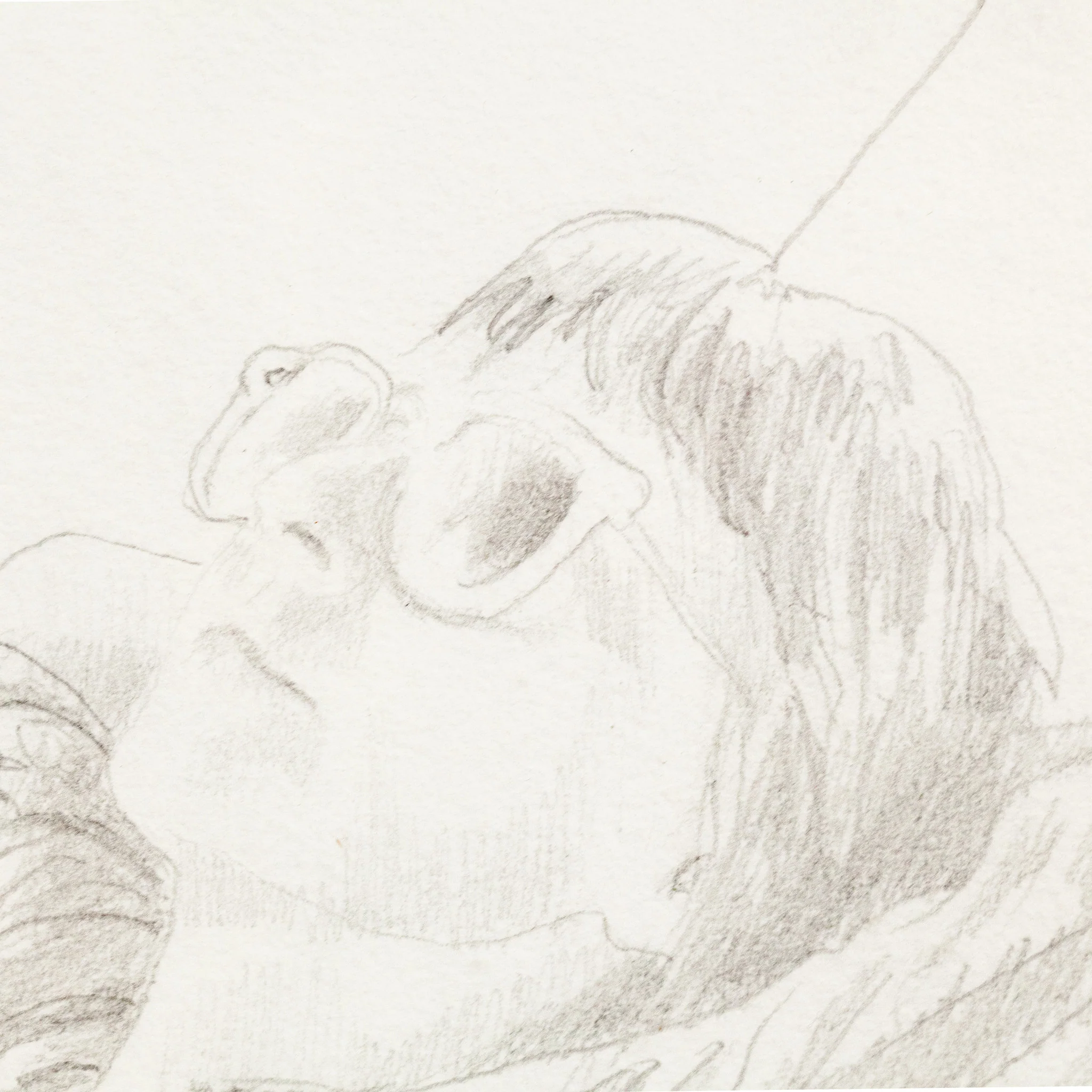 CHARLES PACHTER "HAMMOCK" DRAWING, 1983 - Image 4