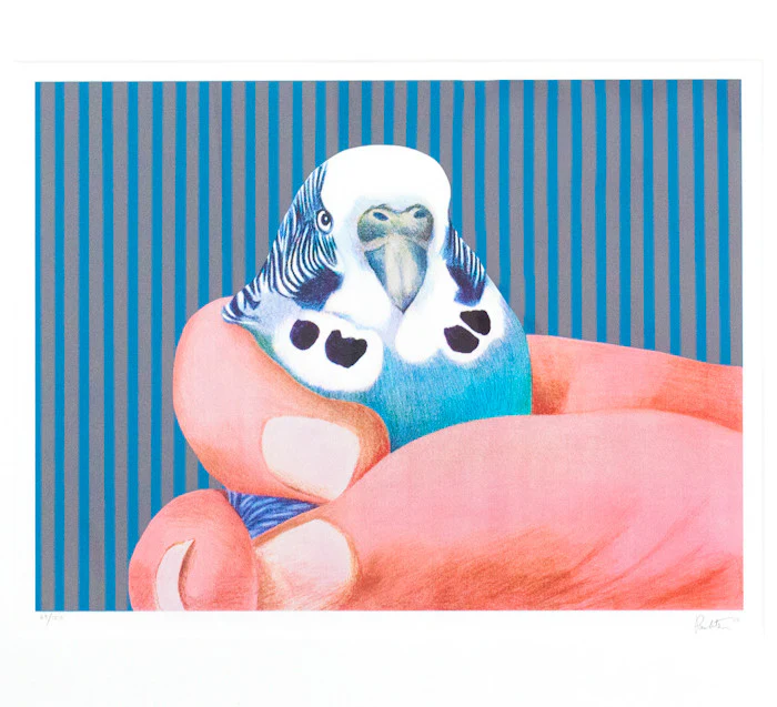 CHARLES PACHTER "SQUEEZEPLAY" SERIGRAPH, 1986 - Image 3
