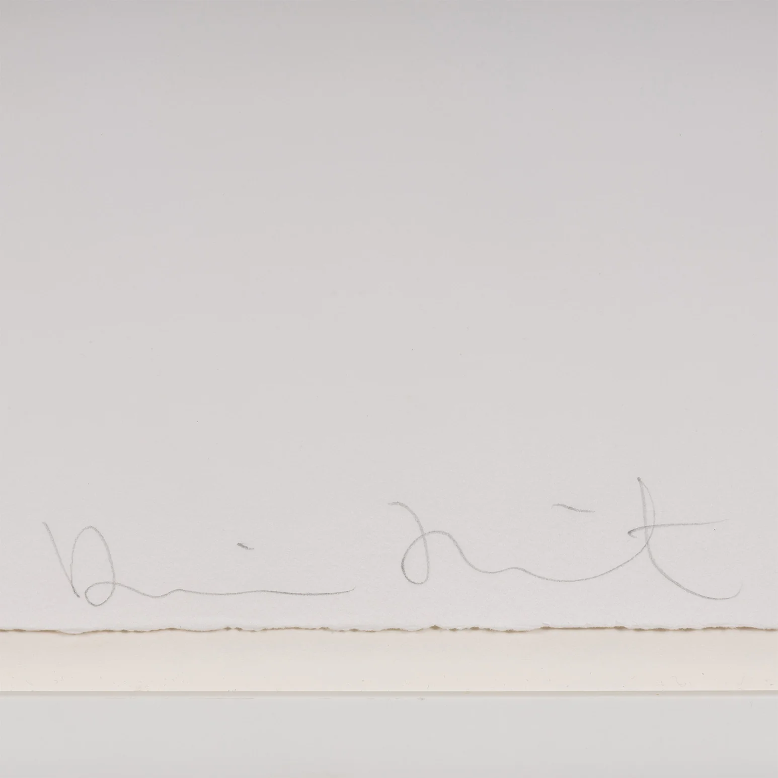 DAMIEN HIRST "RING-A-RING OF ROSES" ETCHING, 2002 - Image 4