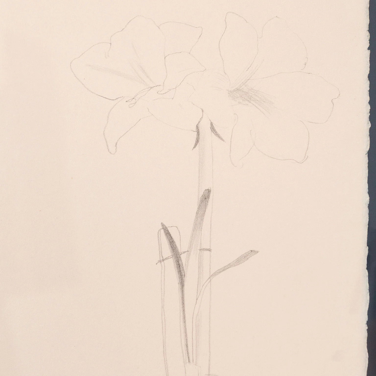 DAVID HOCKNEY "YVES-MARIE HERVÉ" LITHOGRAPH, 1974 - Image 5