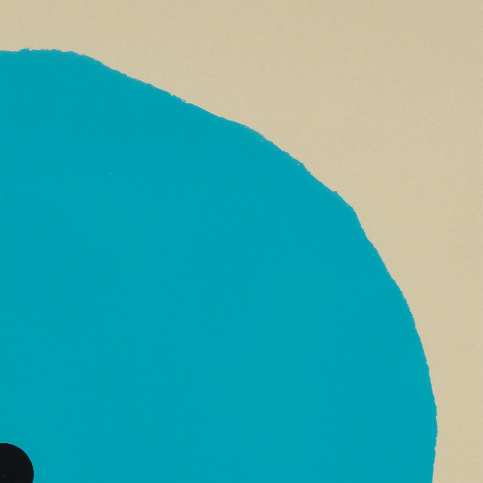 DONALD SULTAN "AQUA TRUMPET" SCREENPRINT, 2011 - Image 6