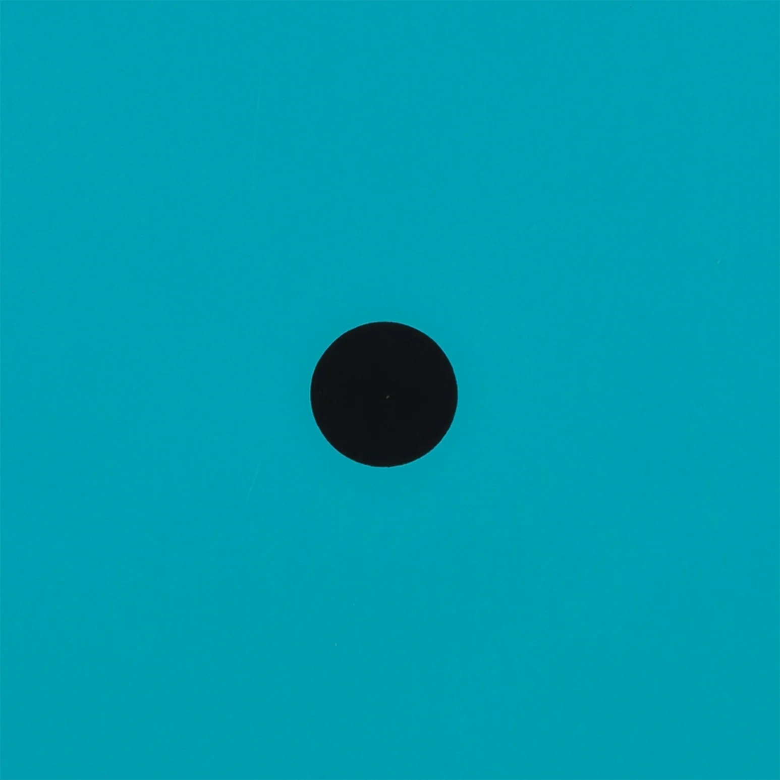 DONALD SULTAN "AQUA TRUMPET" SCREENPRINT, 2011 - Image 7