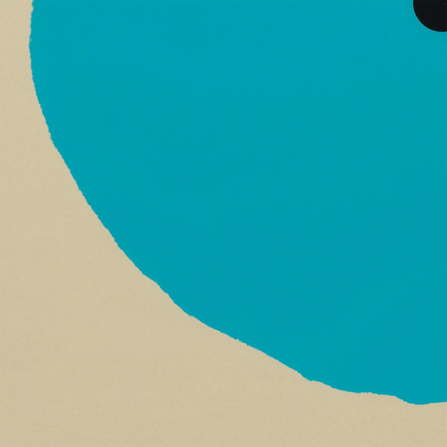 DONALD SULTAN "AQUA TRUMPET" SCREENPRINT, 2011 - Image 8