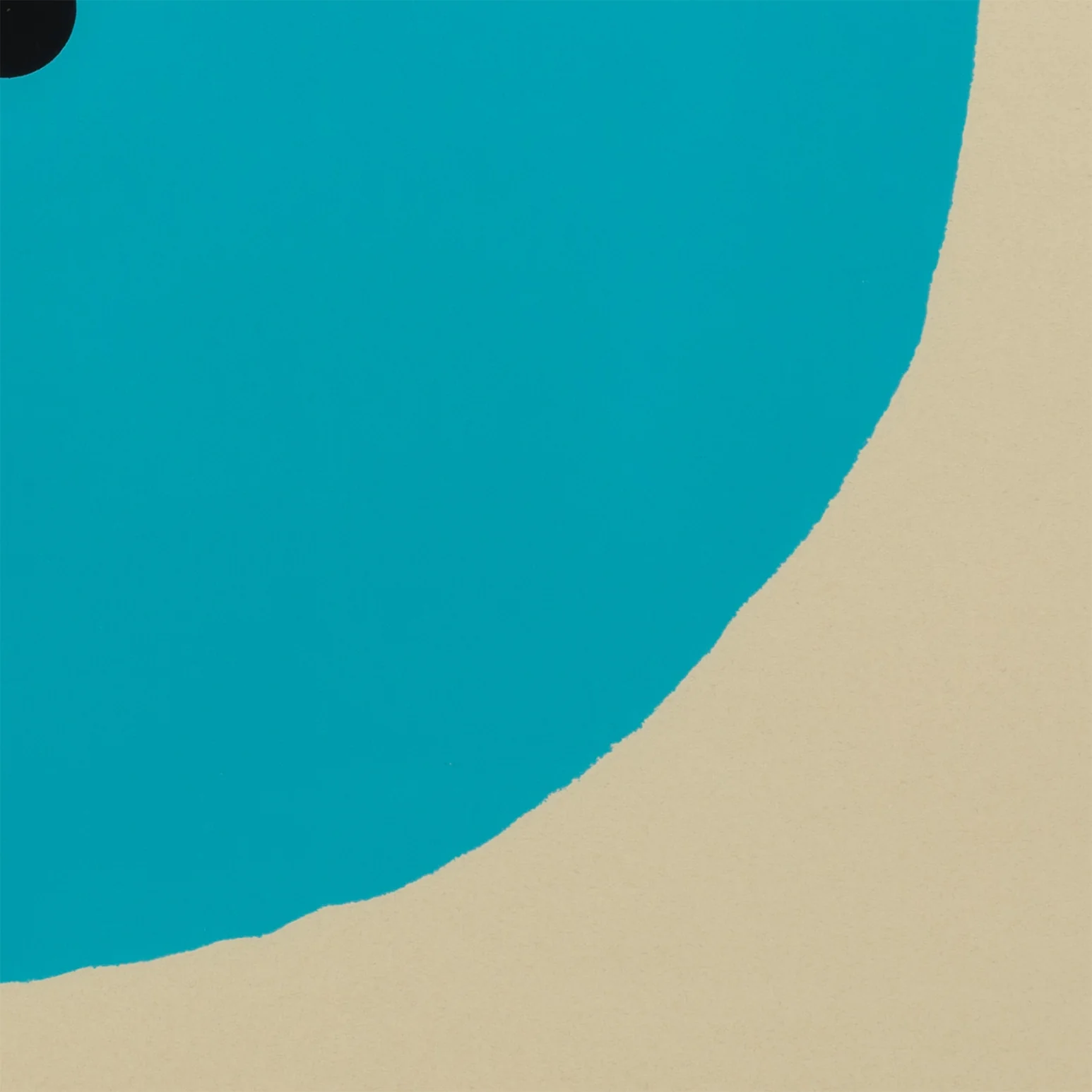 DONALD SULTAN "AQUA TRUMPET" SCREENPRINT, 2011 - Image 9