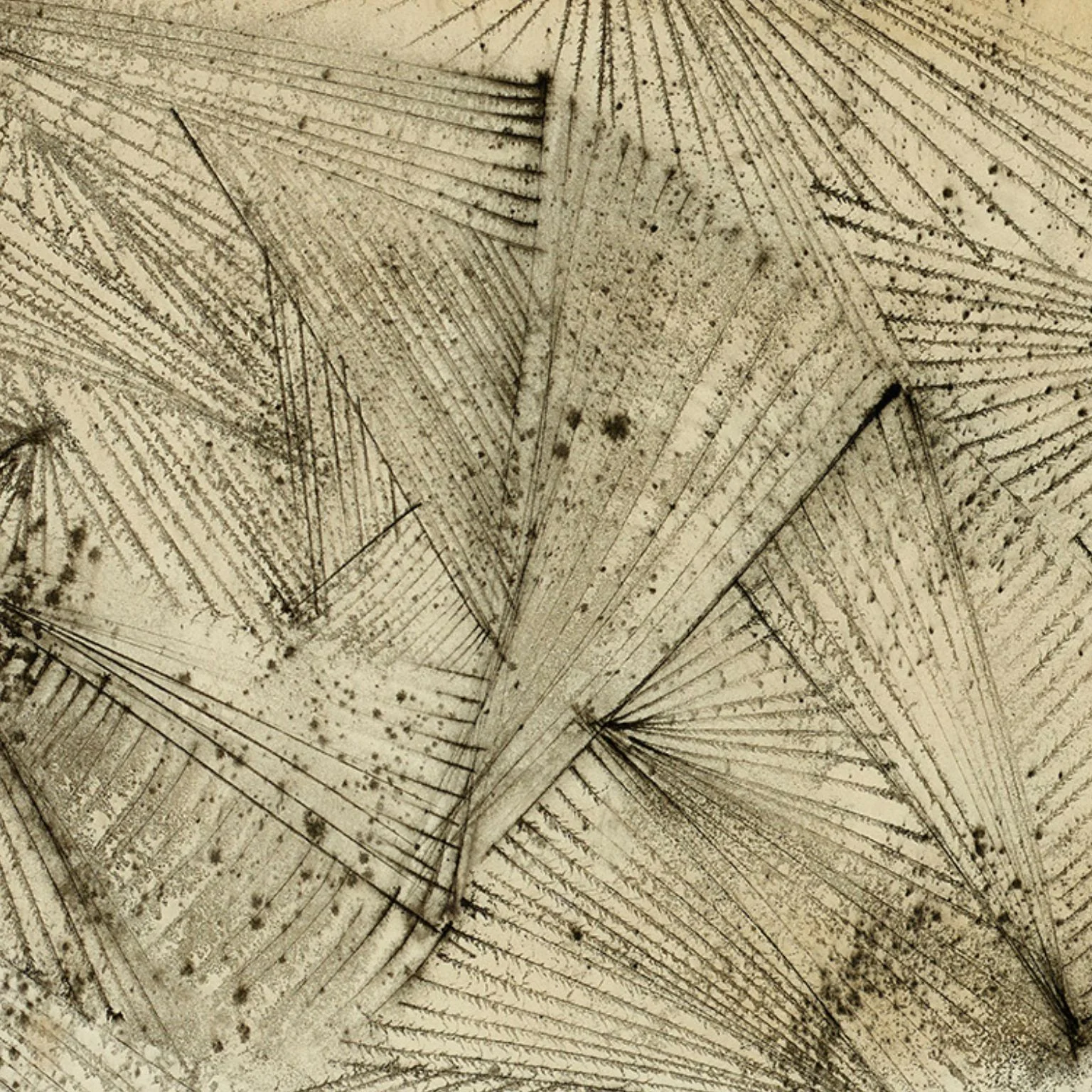 DOROTHY DEHNER “UNTITLED” INK AND CHARCOAL, 1952 - Image 6