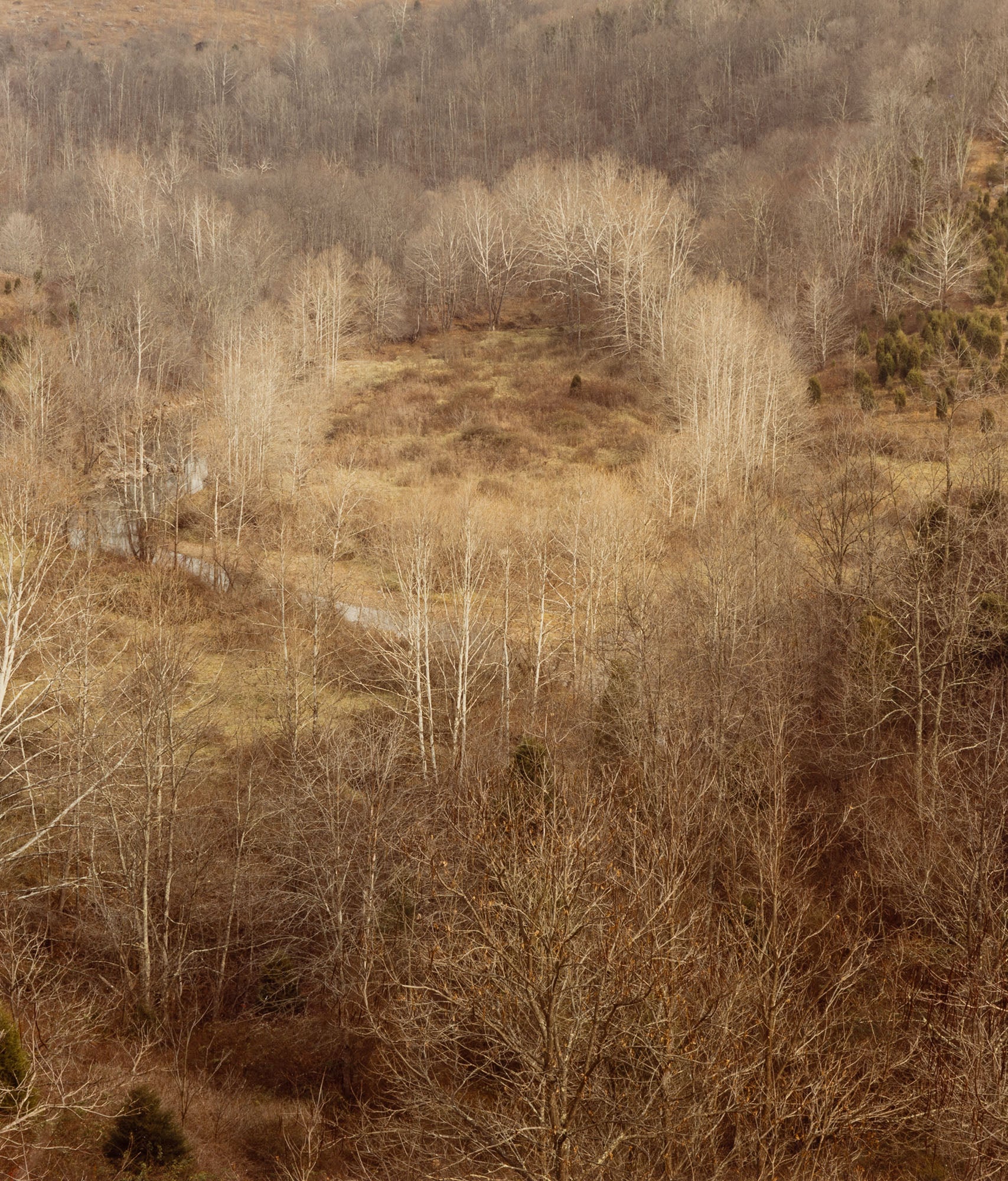 EDWARD BURTYNSKY "CIRCLE, WEST VIRGINIA, FALL 1982"