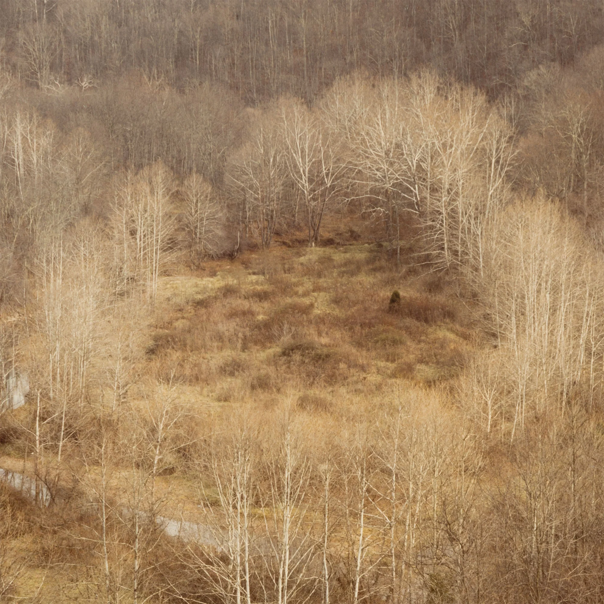 EDWARD BURTYNSKY "CIRCLE, WEST VIRGINIA, FALL 1982" - Image 10