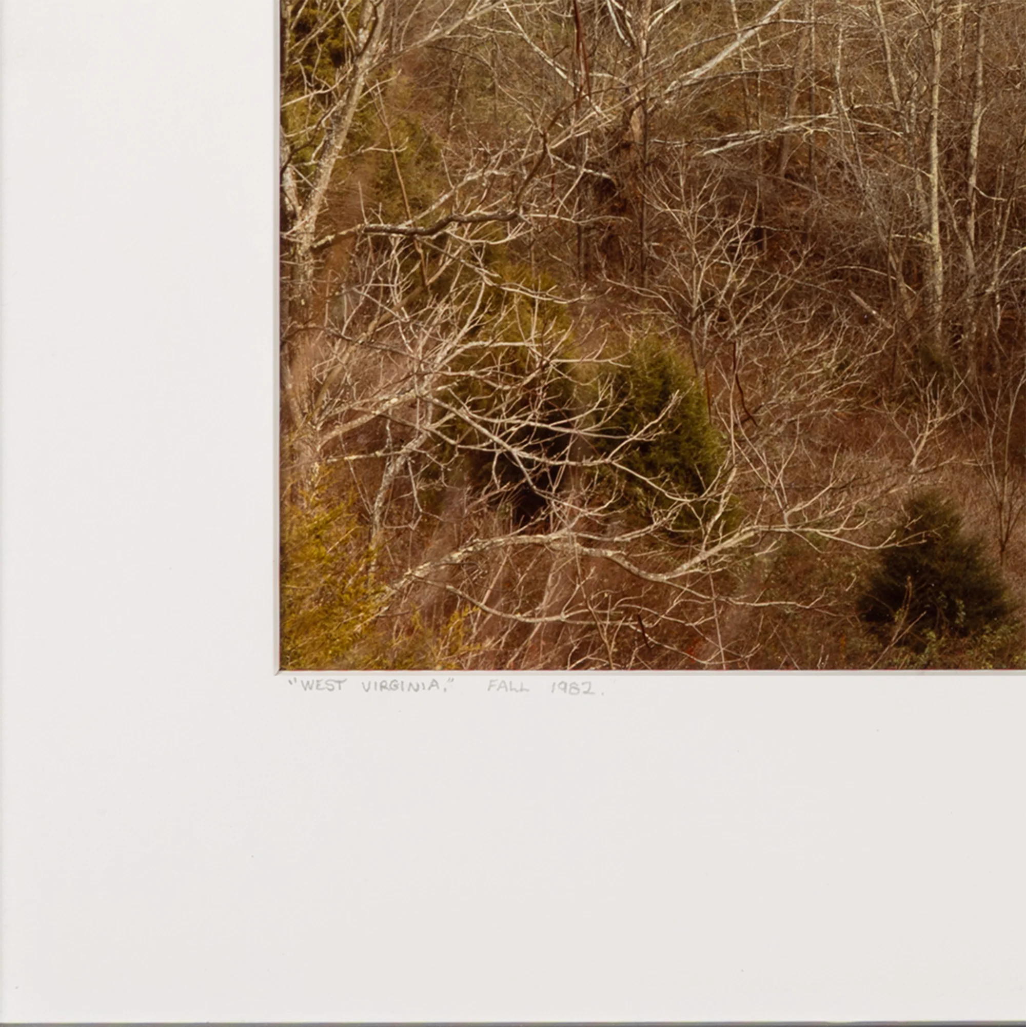 EDWARD BURTYNSKY "CIRCLE, WEST VIRGINIA, FALL 1982" - Image 11