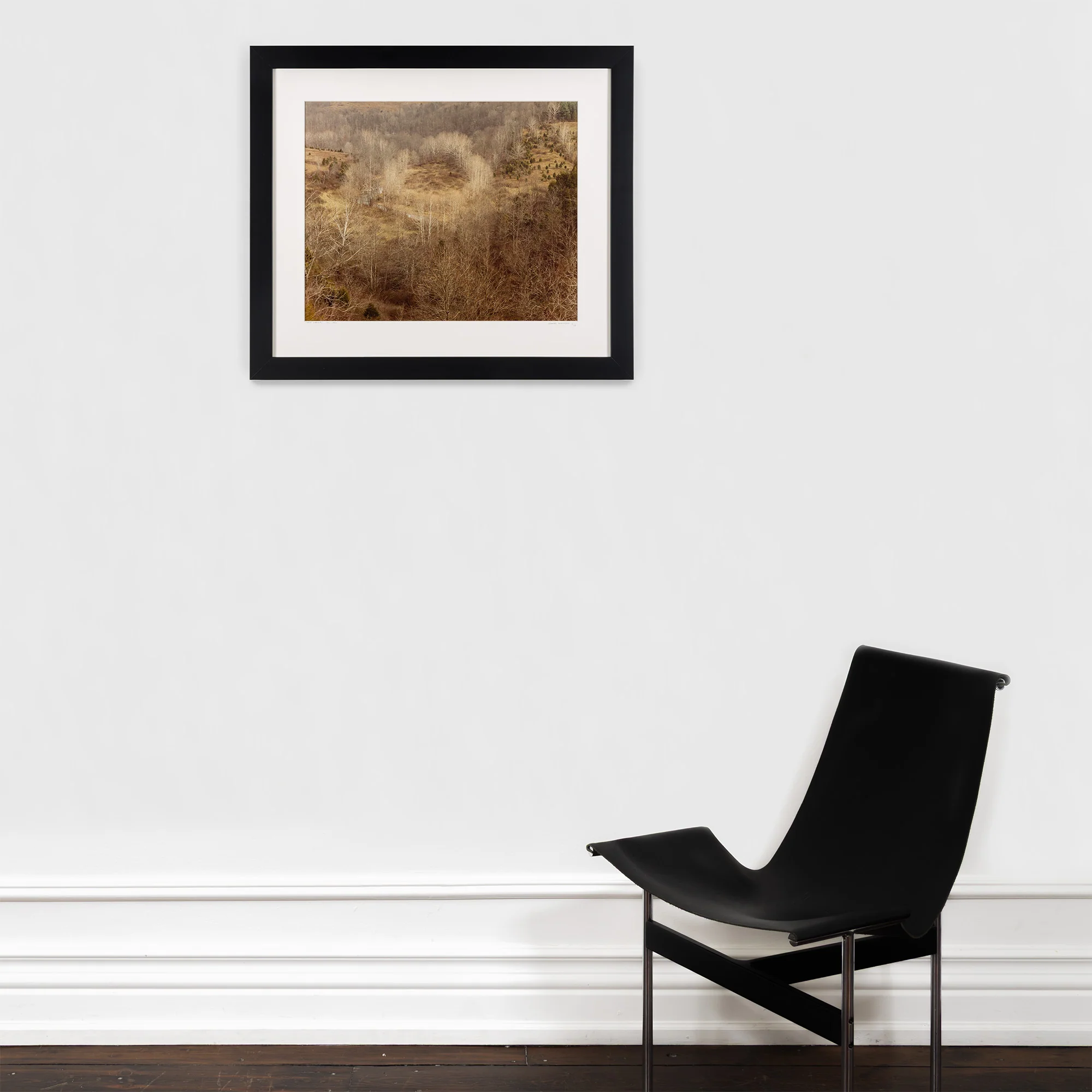 EDWARD BURTYNSKY "CIRCLE, WEST VIRGINIA, FALL 1982" - Image 12