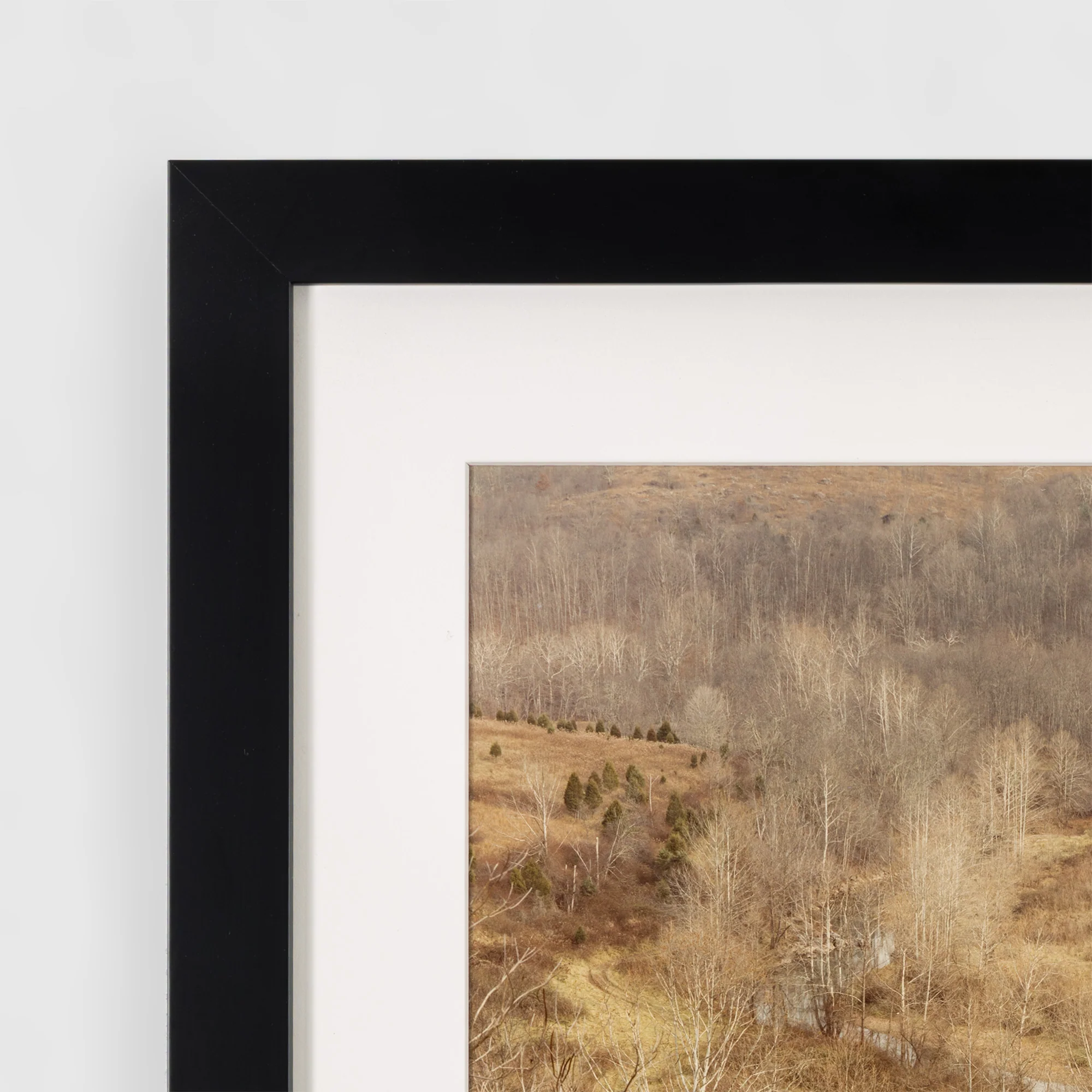 EDWARD BURTYNSKY "CIRCLE, WEST VIRGINIA, FALL 1982" - Image 13