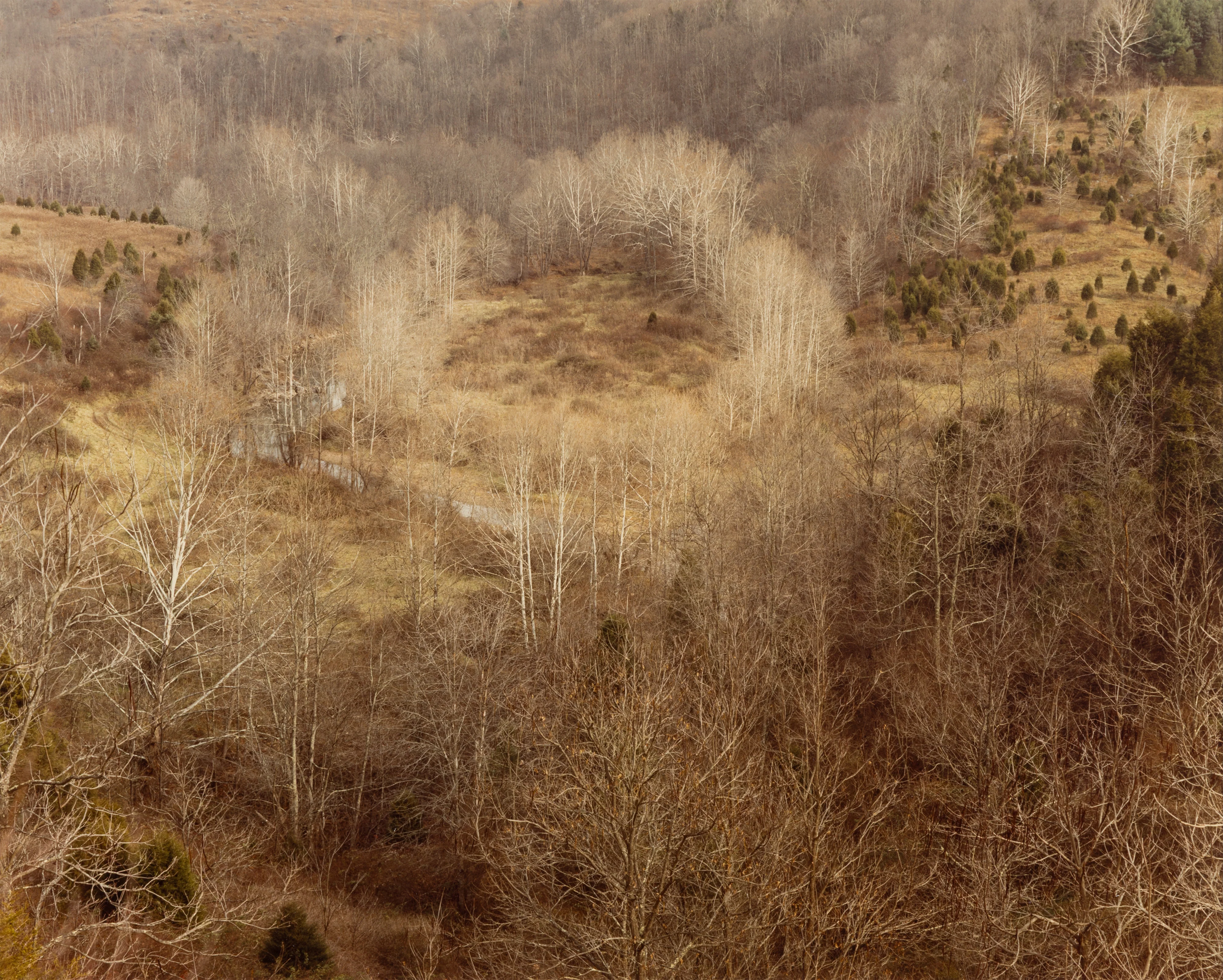 EDWARD BURTYNSKY "CIRCLE, WEST VIRGINIA, FALL 1982" - Image 15