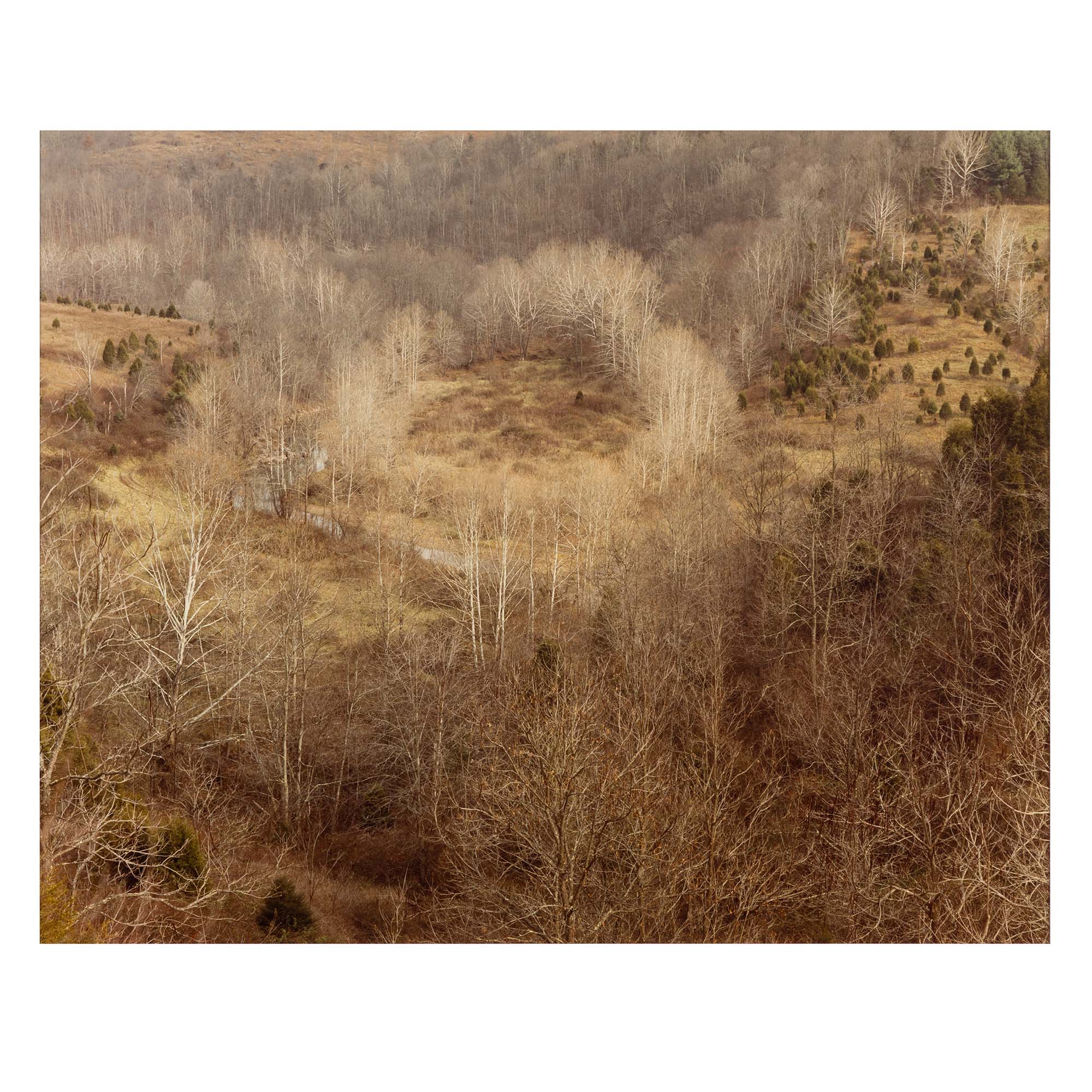 EDWARD BURTYNSKY "CIRCLE, WEST VIRGINIA, FALL 1982" - Image 3