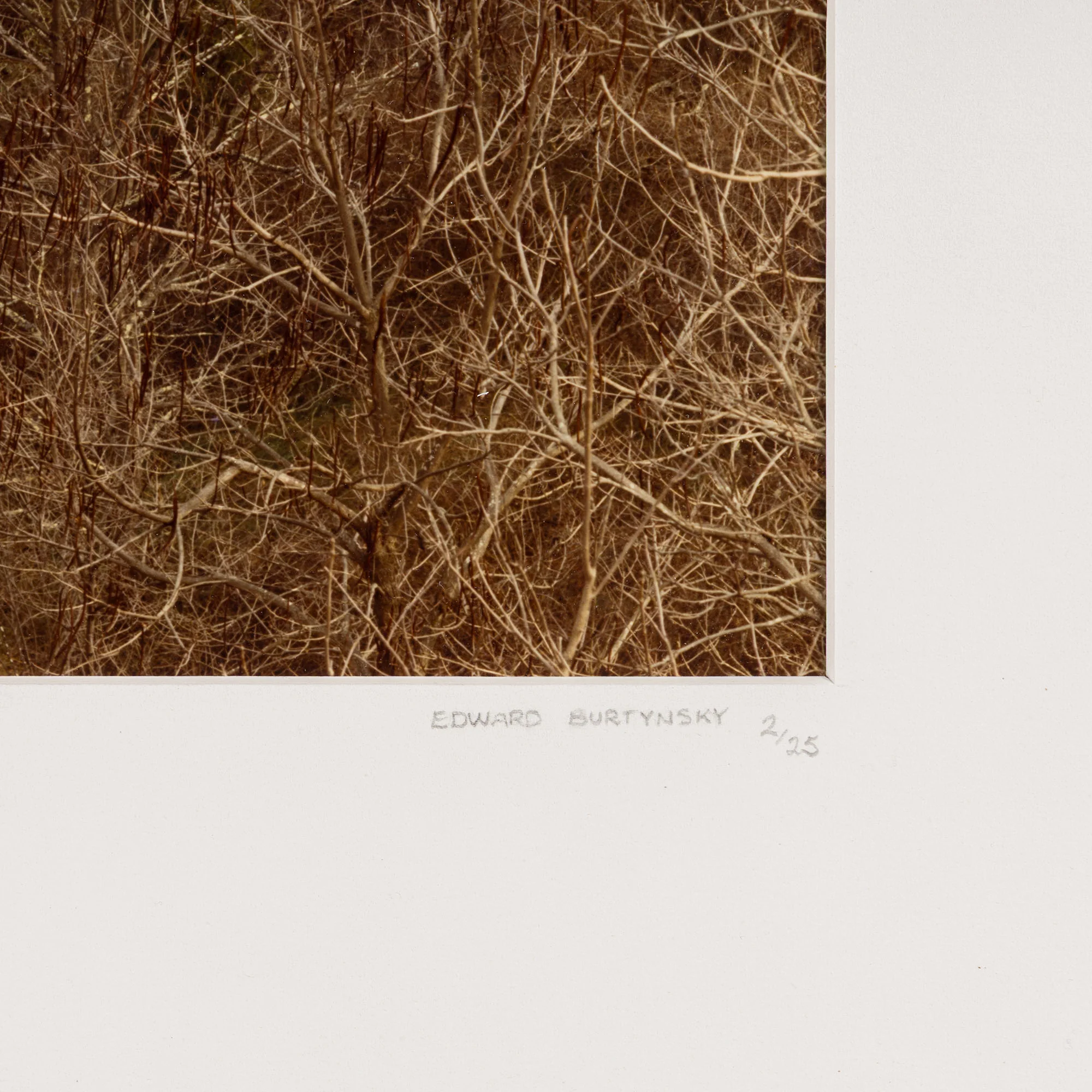 EDWARD BURTYNSKY "CIRCLE, WEST VIRGINIA, FALL 1982" - Image 4