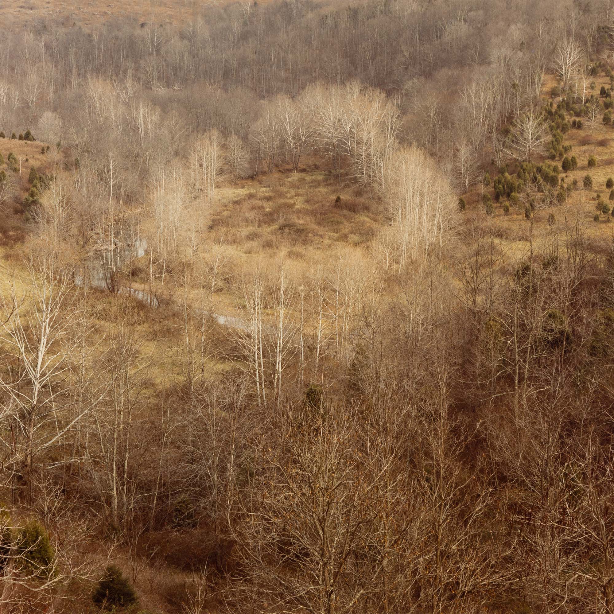 EDWARD BURTYNSKY "CIRCLE, WEST VIRGINIA, FALL 1982" - Image 5