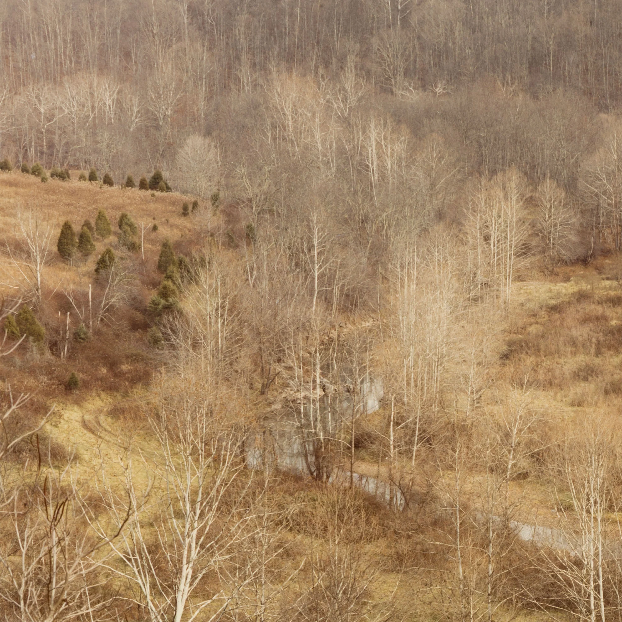 EDWARD BURTYNSKY "CIRCLE, WEST VIRGINIA, FALL 1982" - Image 6