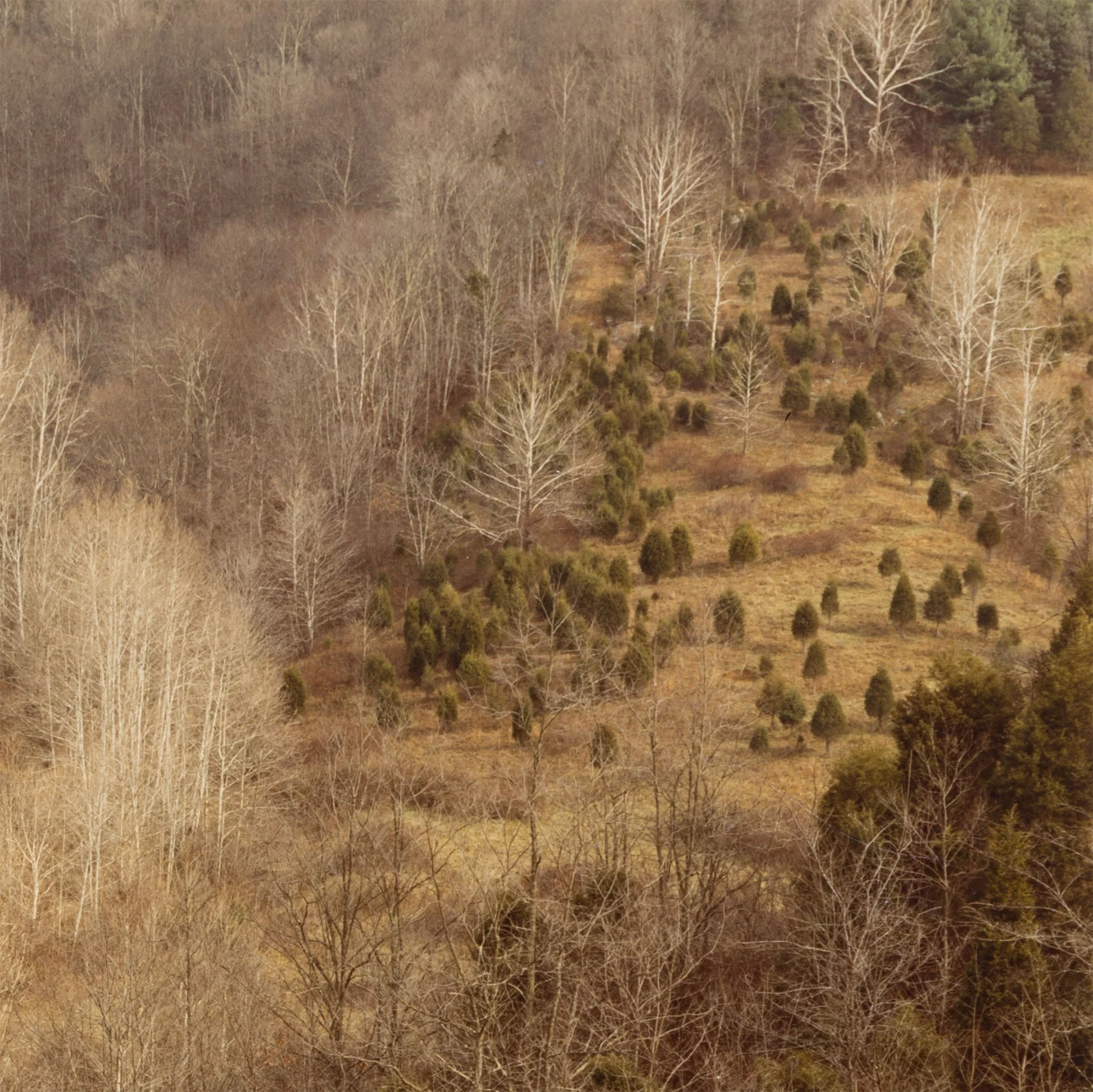 EDWARD BURTYNSKY "CIRCLE, WEST VIRGINIA, FALL 1982" - Image 7