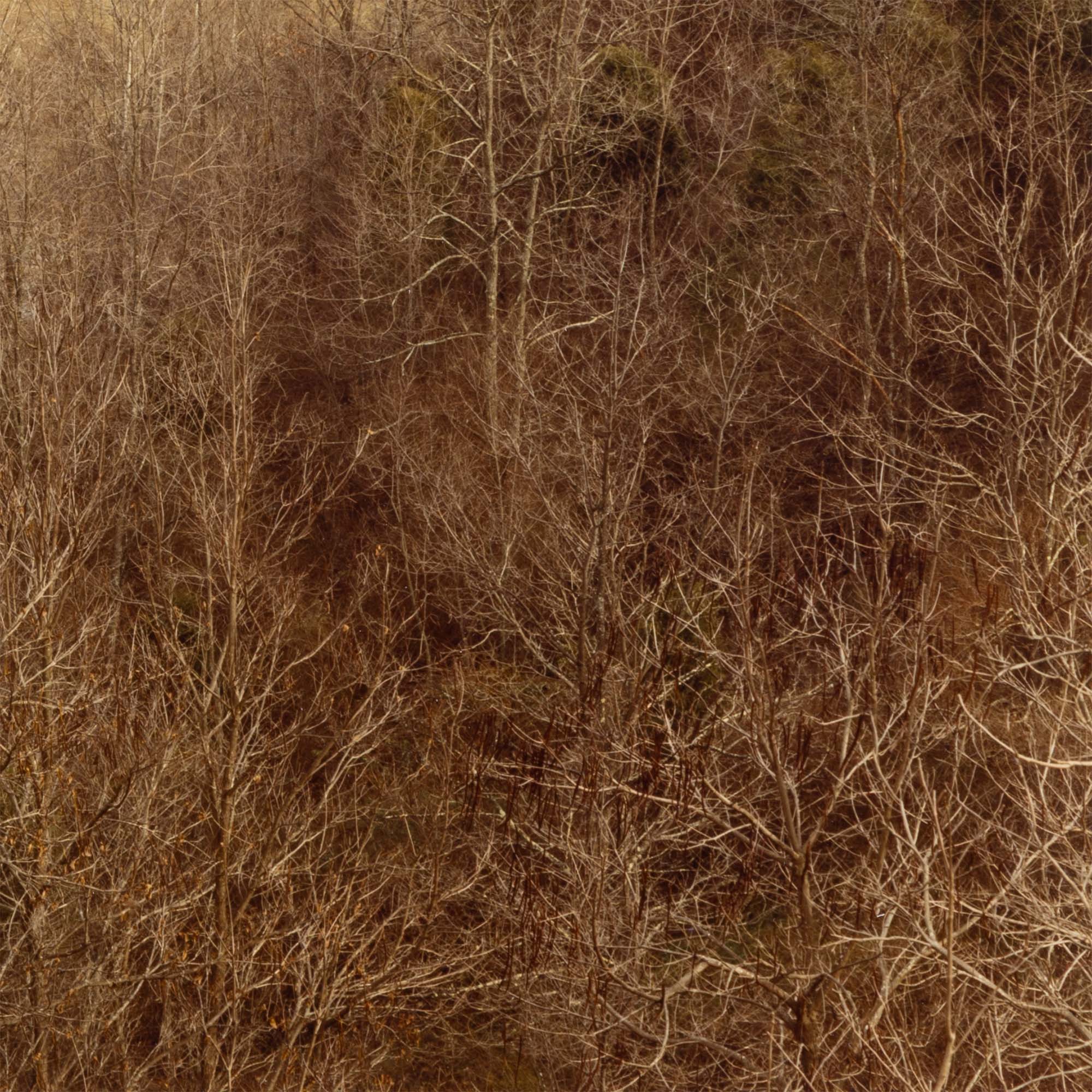 EDWARD BURTYNSKY "CIRCLE, WEST VIRGINIA, FALL 1982" - Image 9