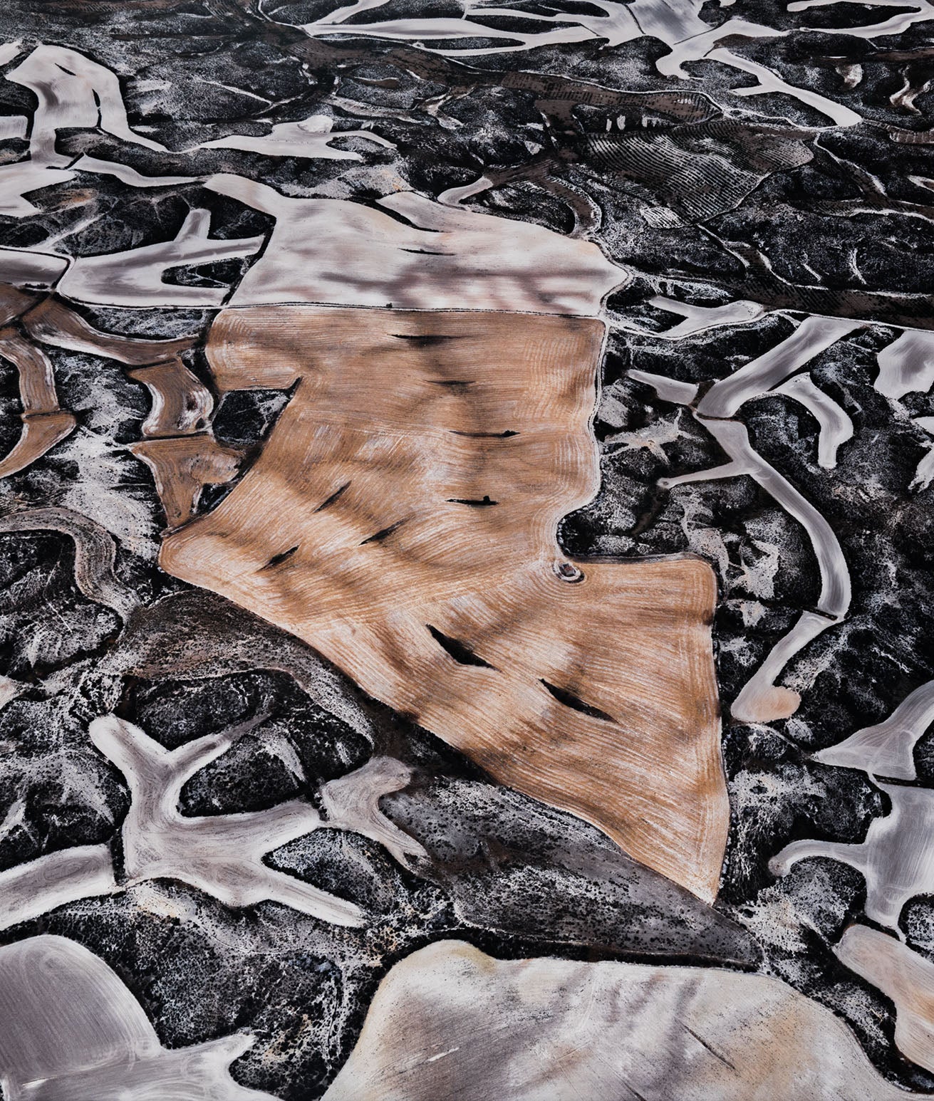 EDWARD BURTYNSKY "DRYLAND FARMING #25" SPAIN, 2010"