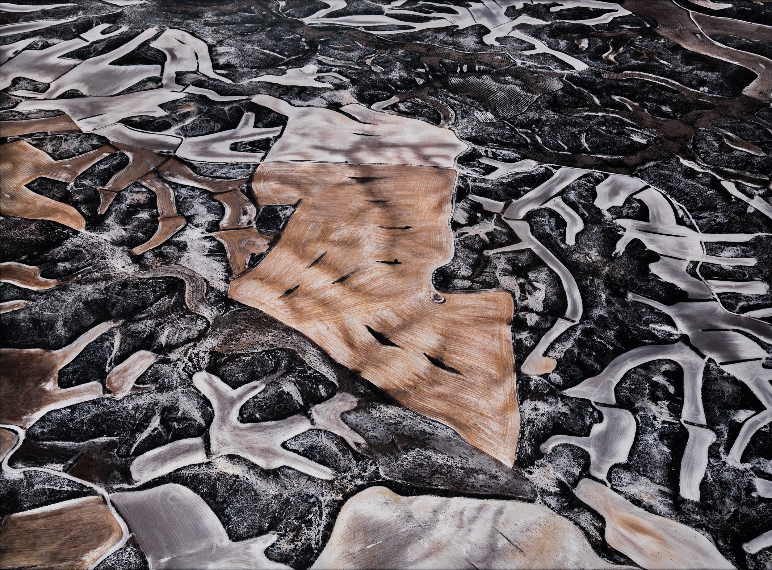 EDWARD BURTYNSKY "DRYLAND FARMING #25" SPAIN, 2010" - Image 13