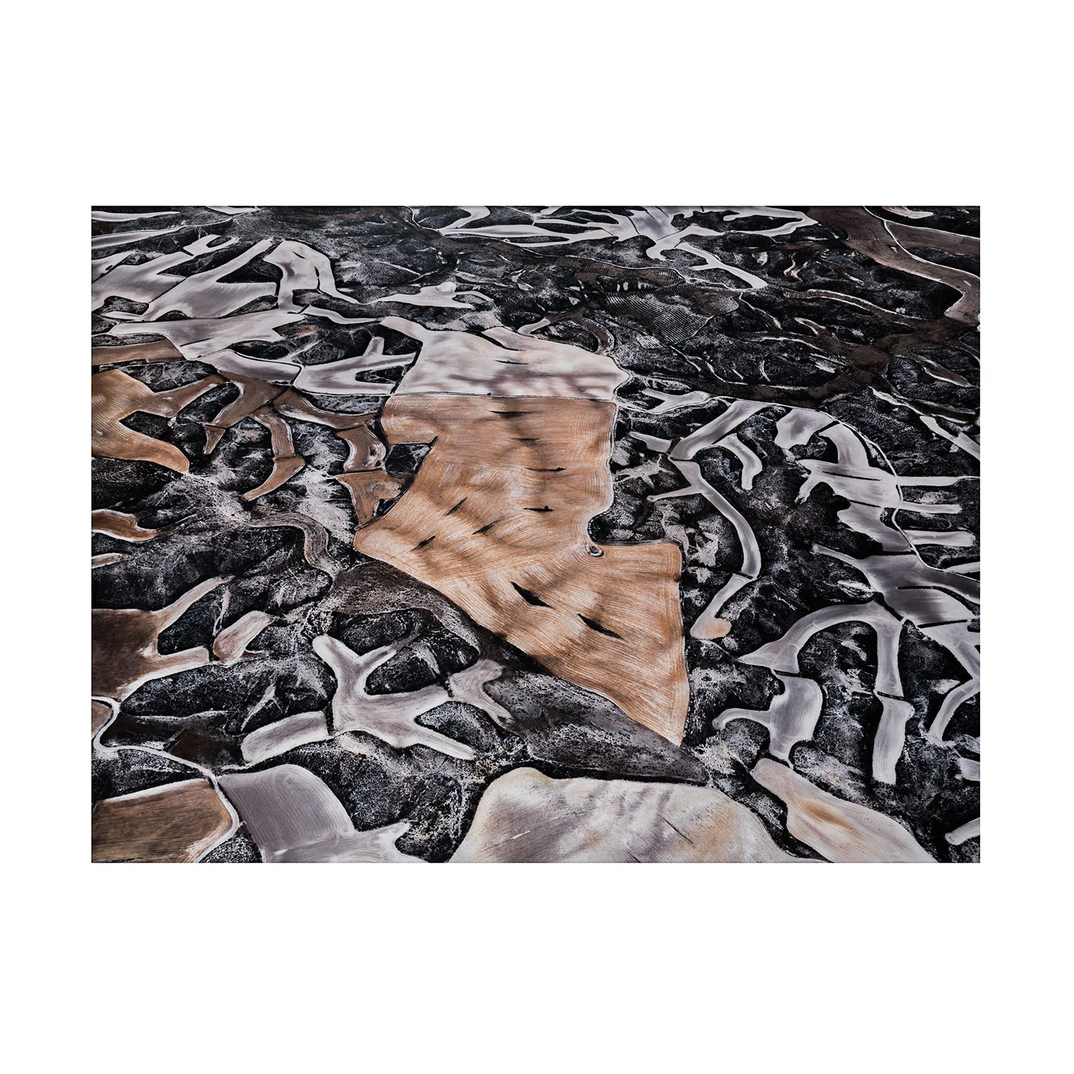 EDWARD BURTYNSKY "DRYLAND FARMING #25" SPAIN, 2010" - Image 3