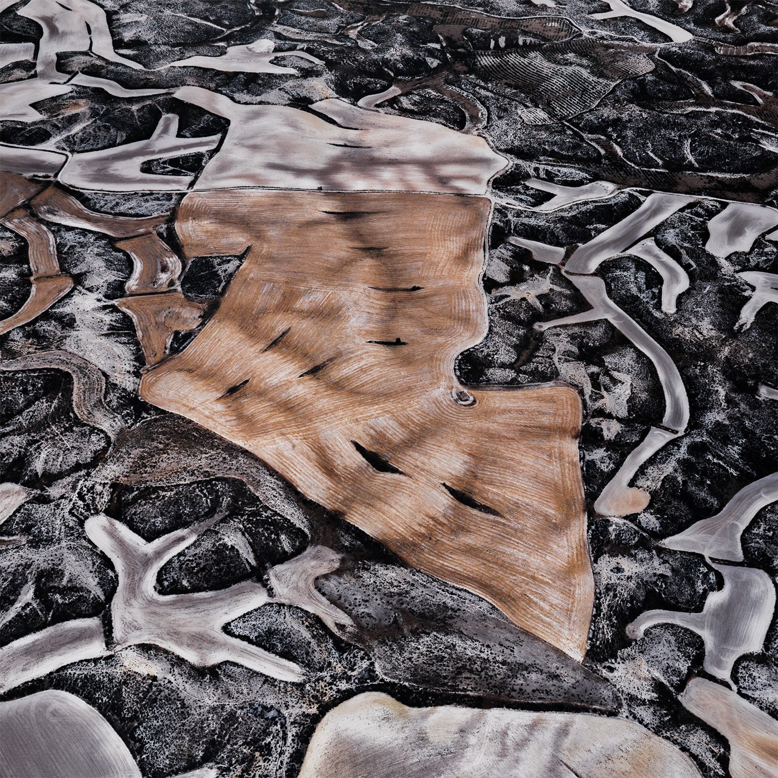 EDWARD BURTYNSKY "DRYLAND FARMING #25" SPAIN, 2010" - Image 4