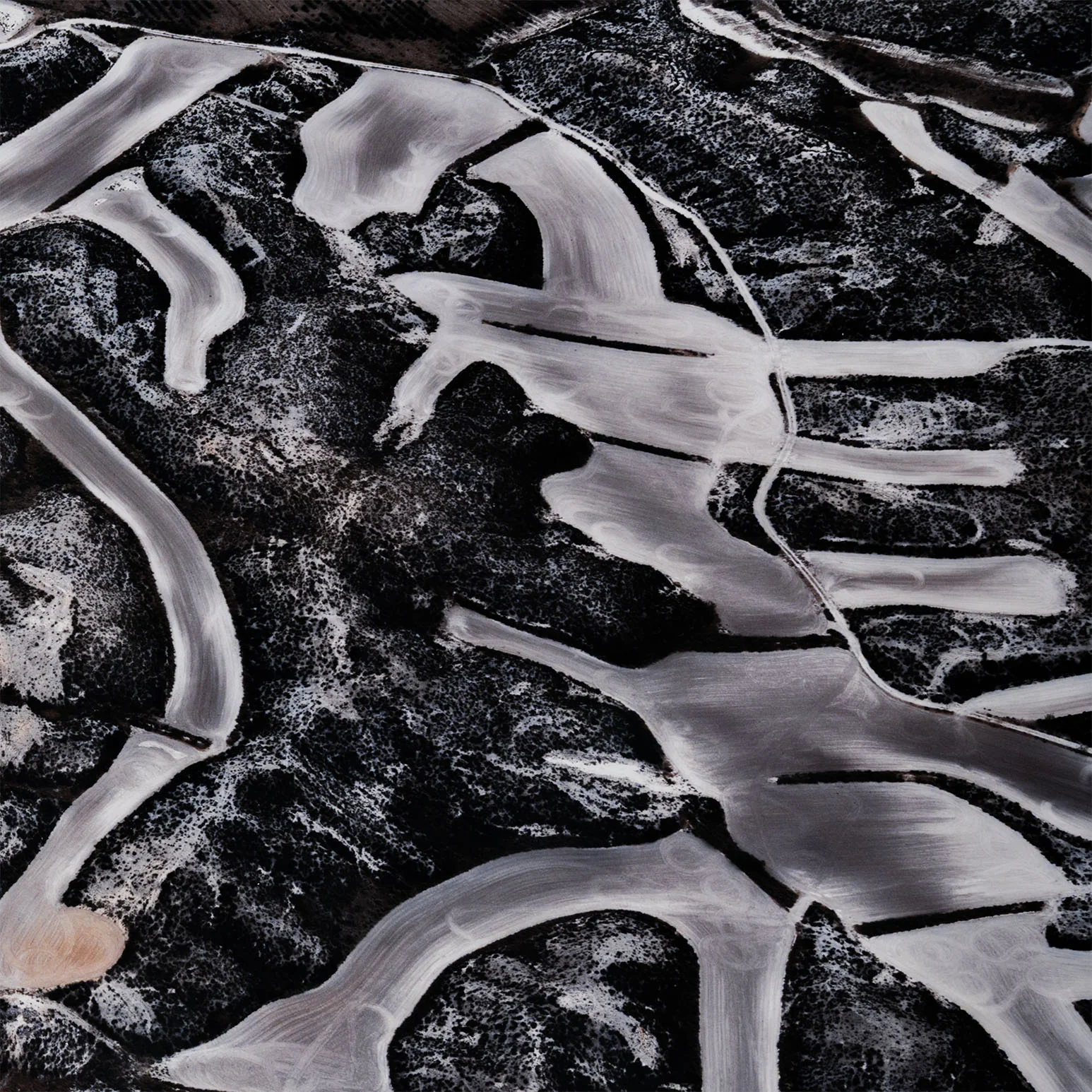 EDWARD BURTYNSKY "DRYLAND FARMING #25" SPAIN, 2010" - Image 5